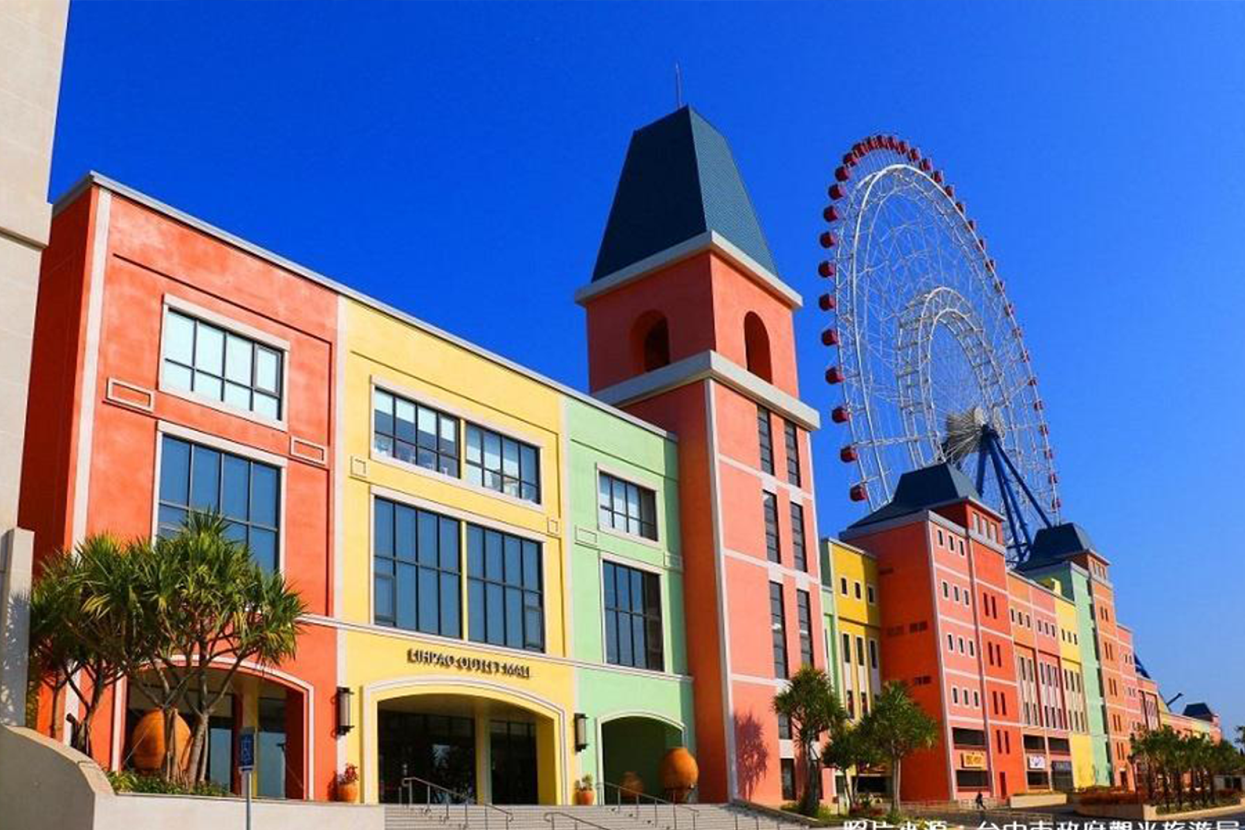 中台灣採果賞落羽松二日遊9