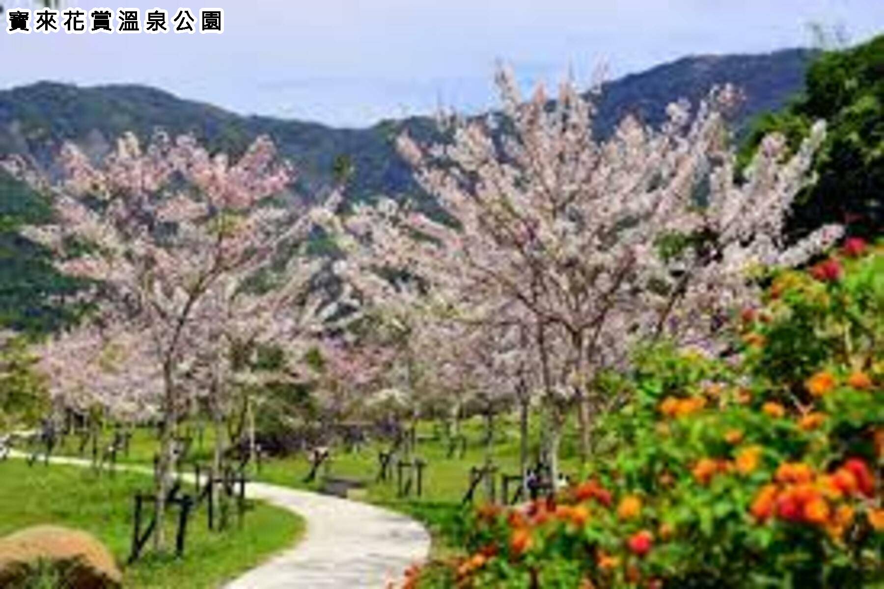 安心GO-六龜寶來花賞足湯一日遊(高雄出發)11