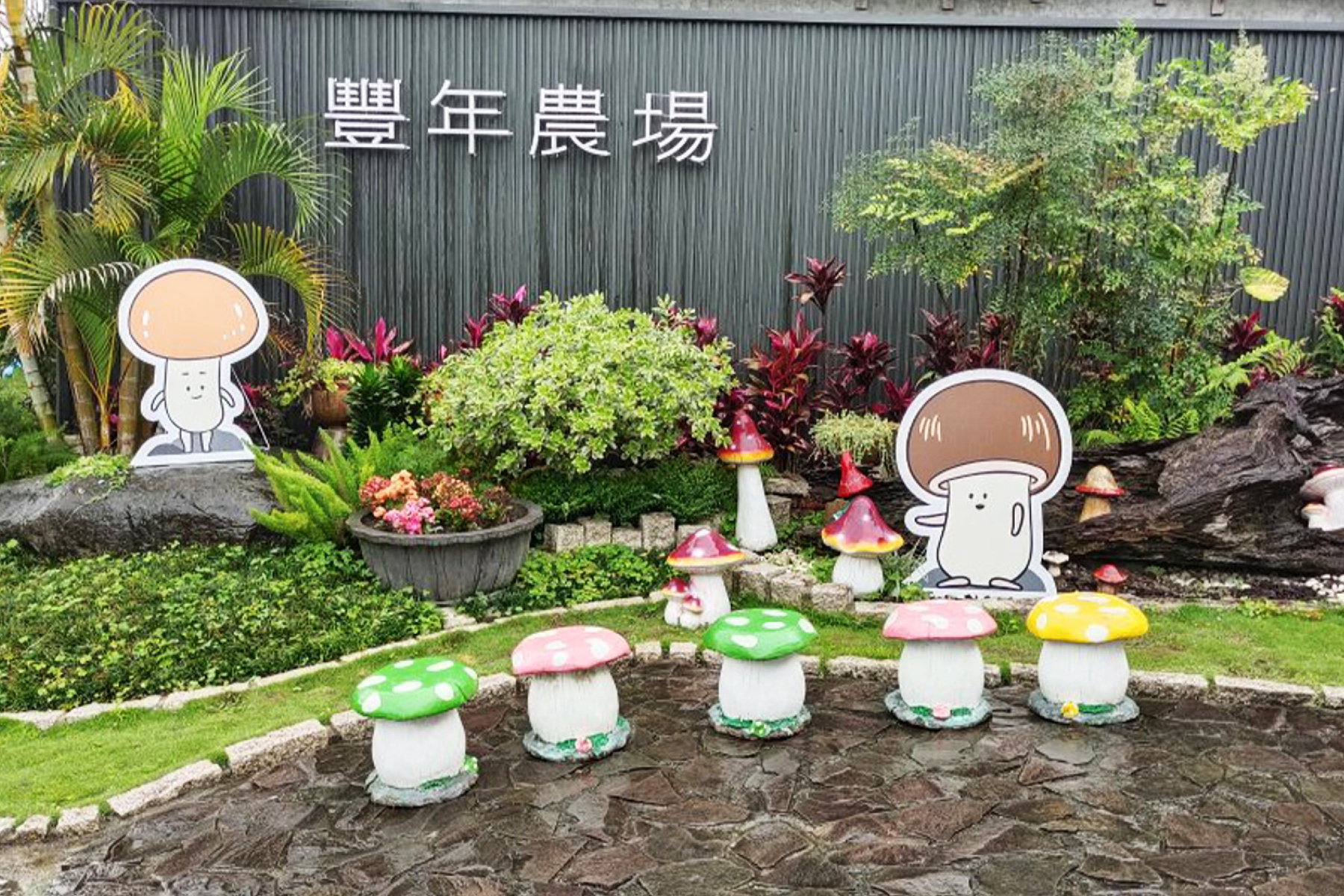 嘉里二日走透透6