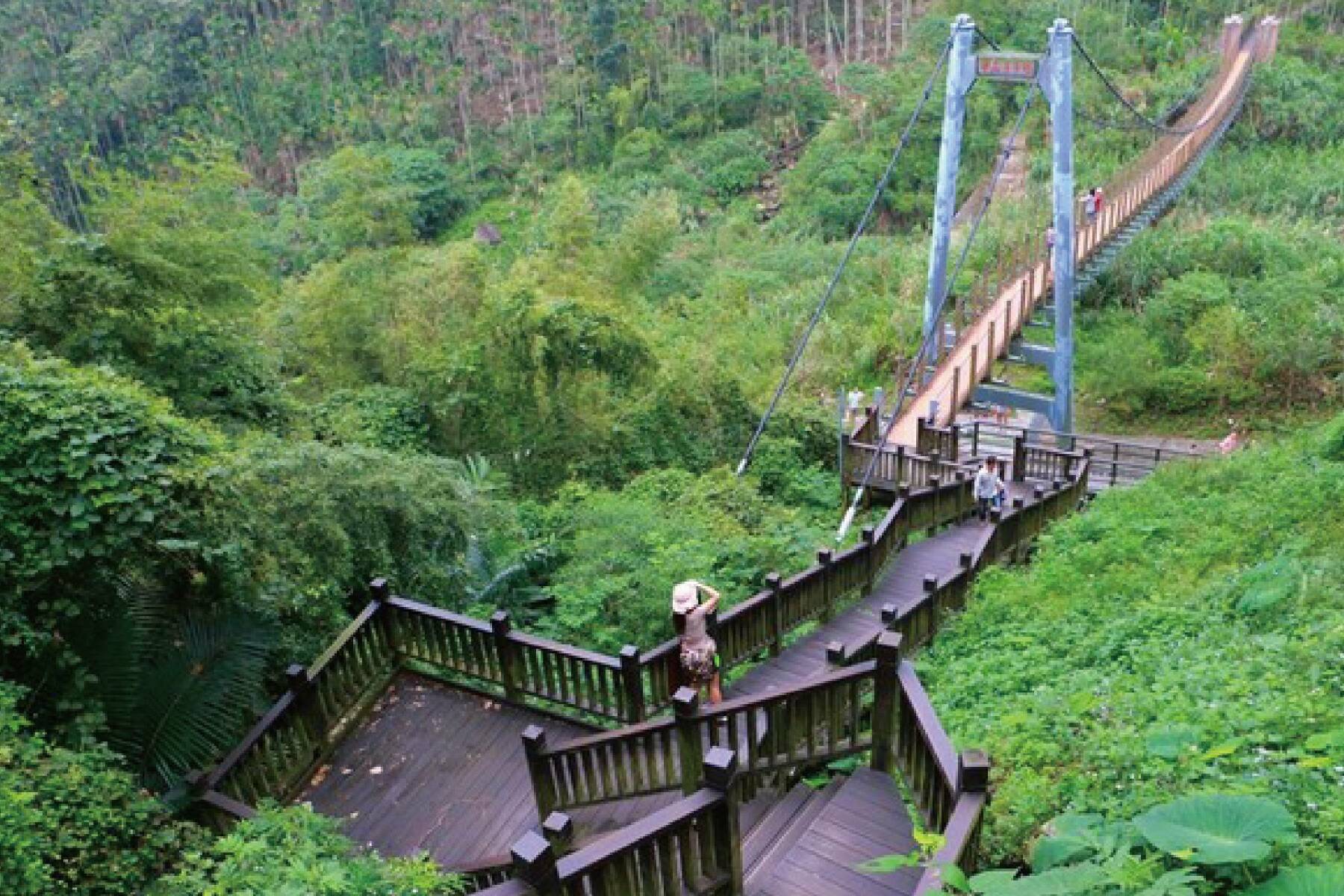 嘉義阿里山賞櫻二日遊(南投出發)9