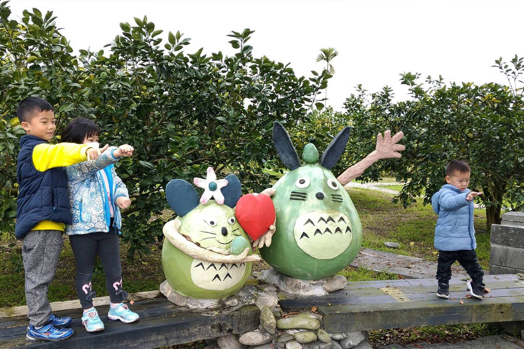 花蓮木日光文旦驛站-採果(文旦柚)體驗券9