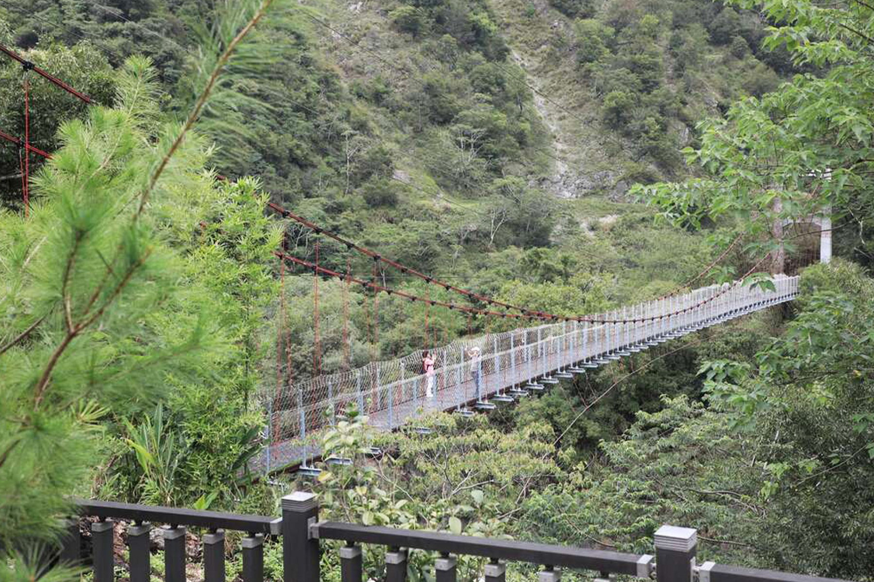 台中寶熊漁人體驗 採葡萄  谷關溫泉豐富二日遊13