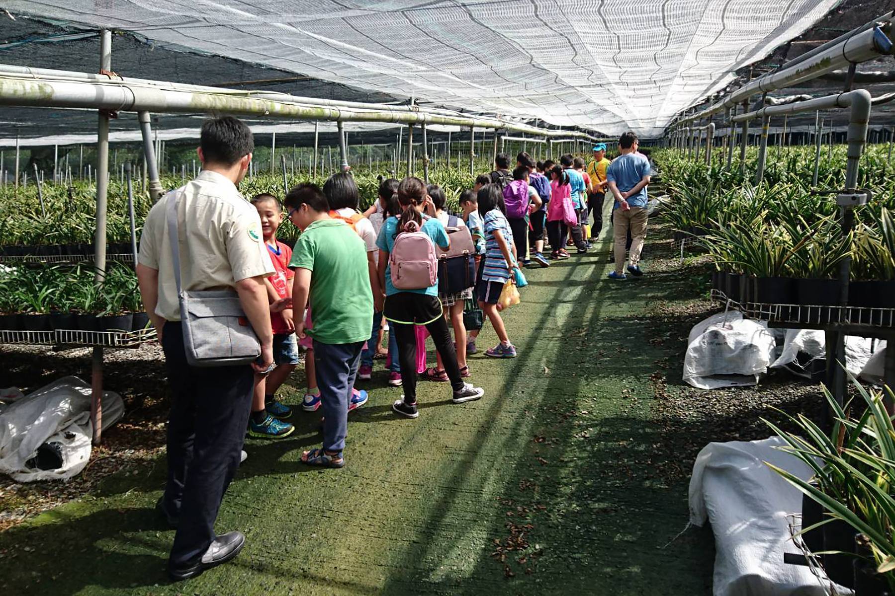 台中可苗花園休閒農場-蘭花組盆DIY體驗券(最少5人成行)1