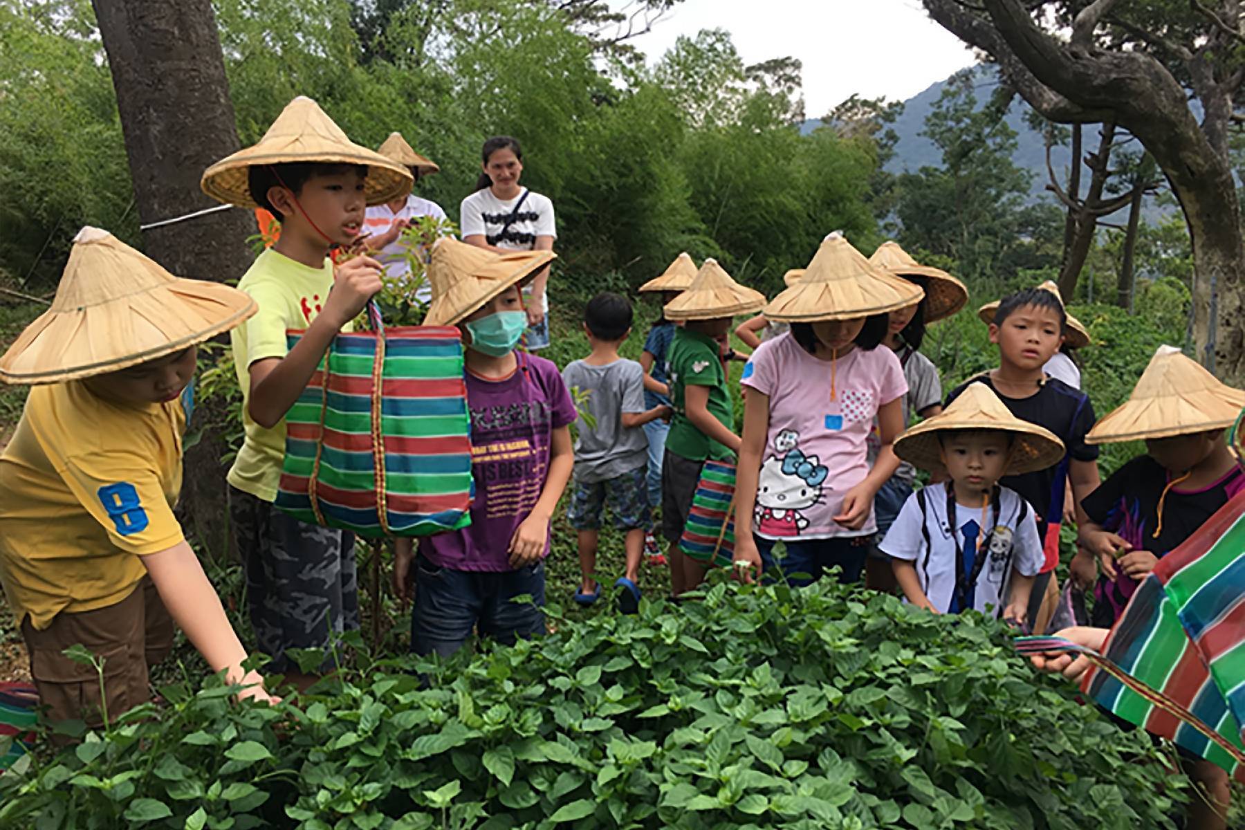 台北梅居休閒農場-農夫田園體驗券(最少6人成行)8