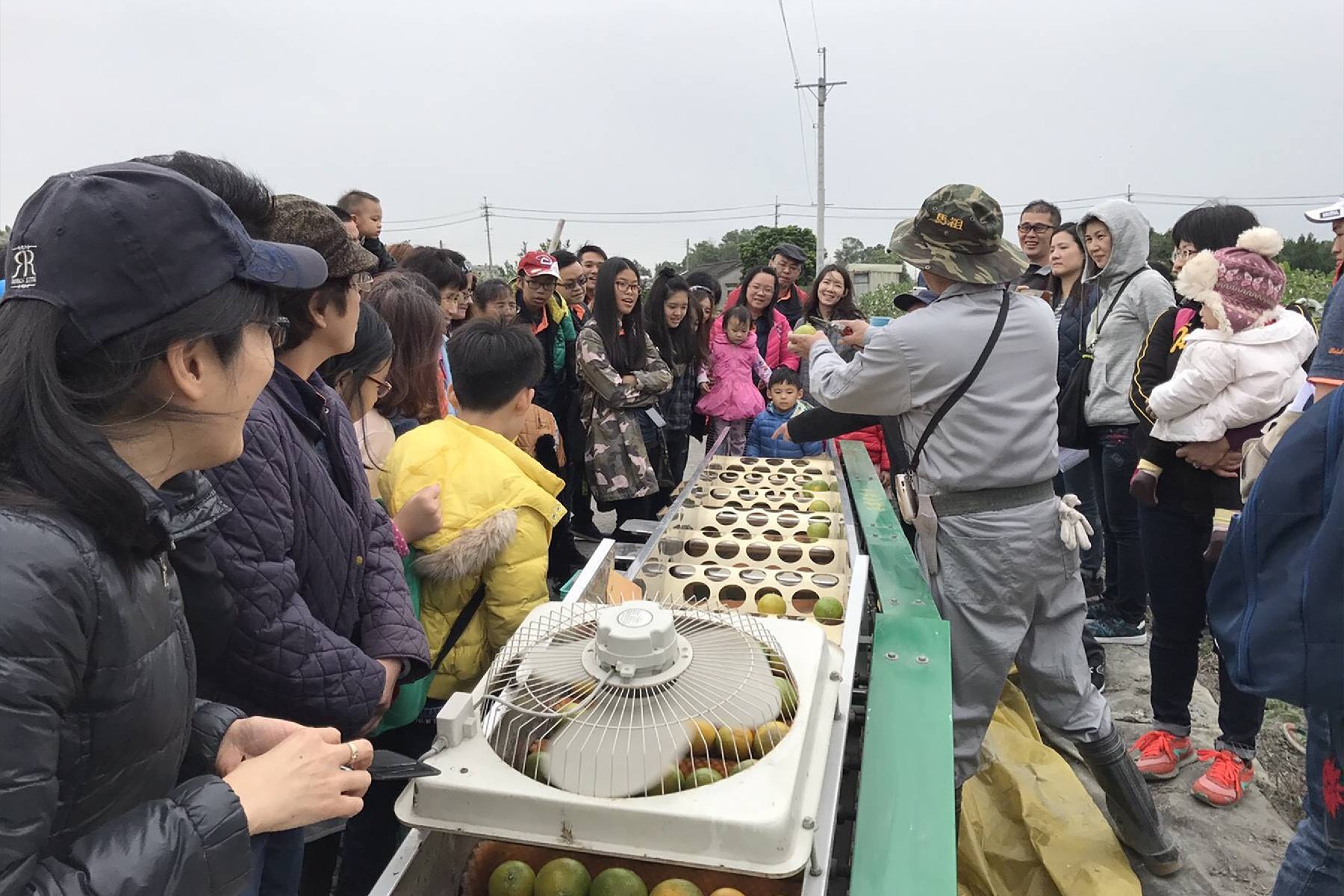 雲林橙色農作休閒果園-採果體驗券9