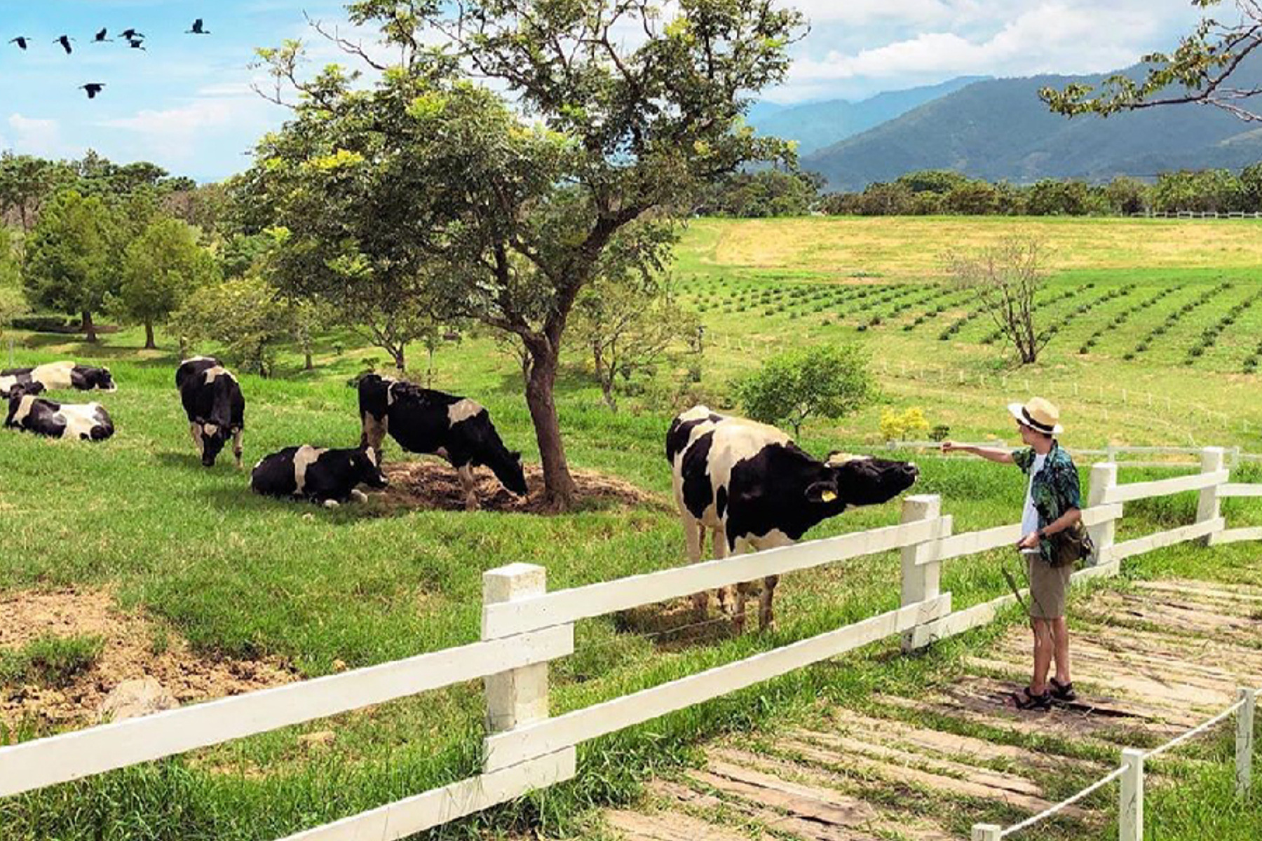 東台灣日暉溫泉度假村享樂二日遊16