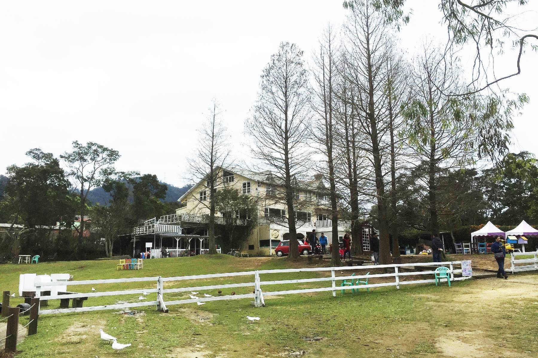 桃園富田花園農場-富田草泥馬動物森友會體驗券4