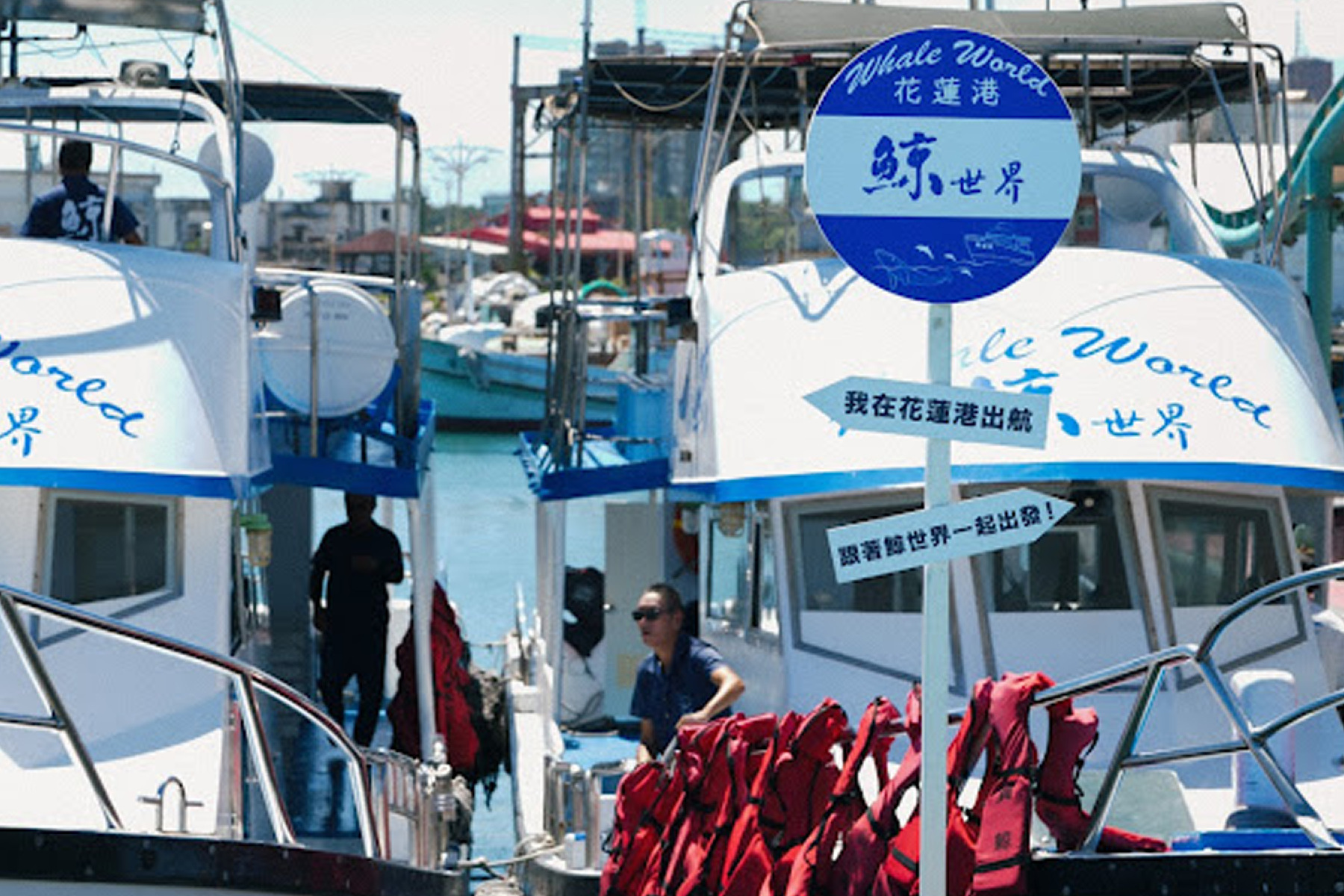 花蓮鯨世界-賞鯨生態之旅成人票12