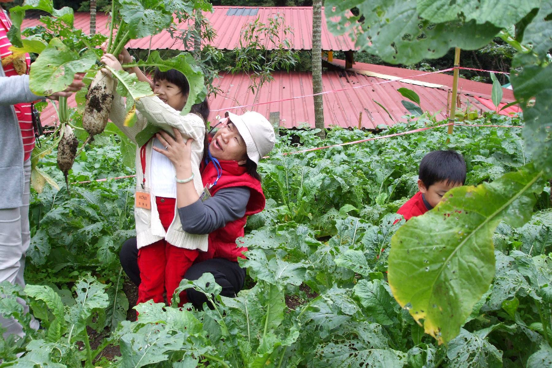 宜蘭頭城休閒農場-農夫一日遊券9