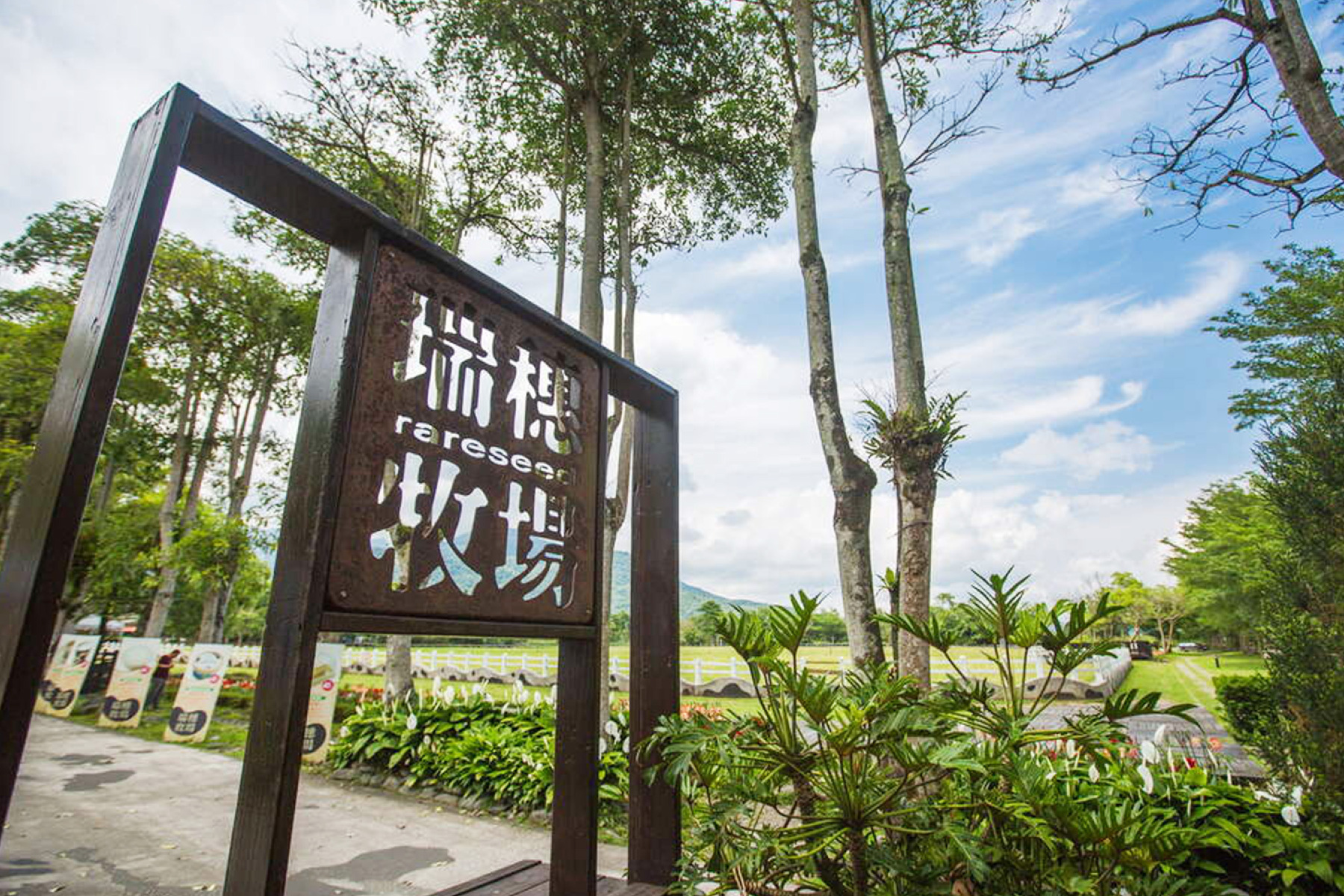 花東好久不見三日遊9