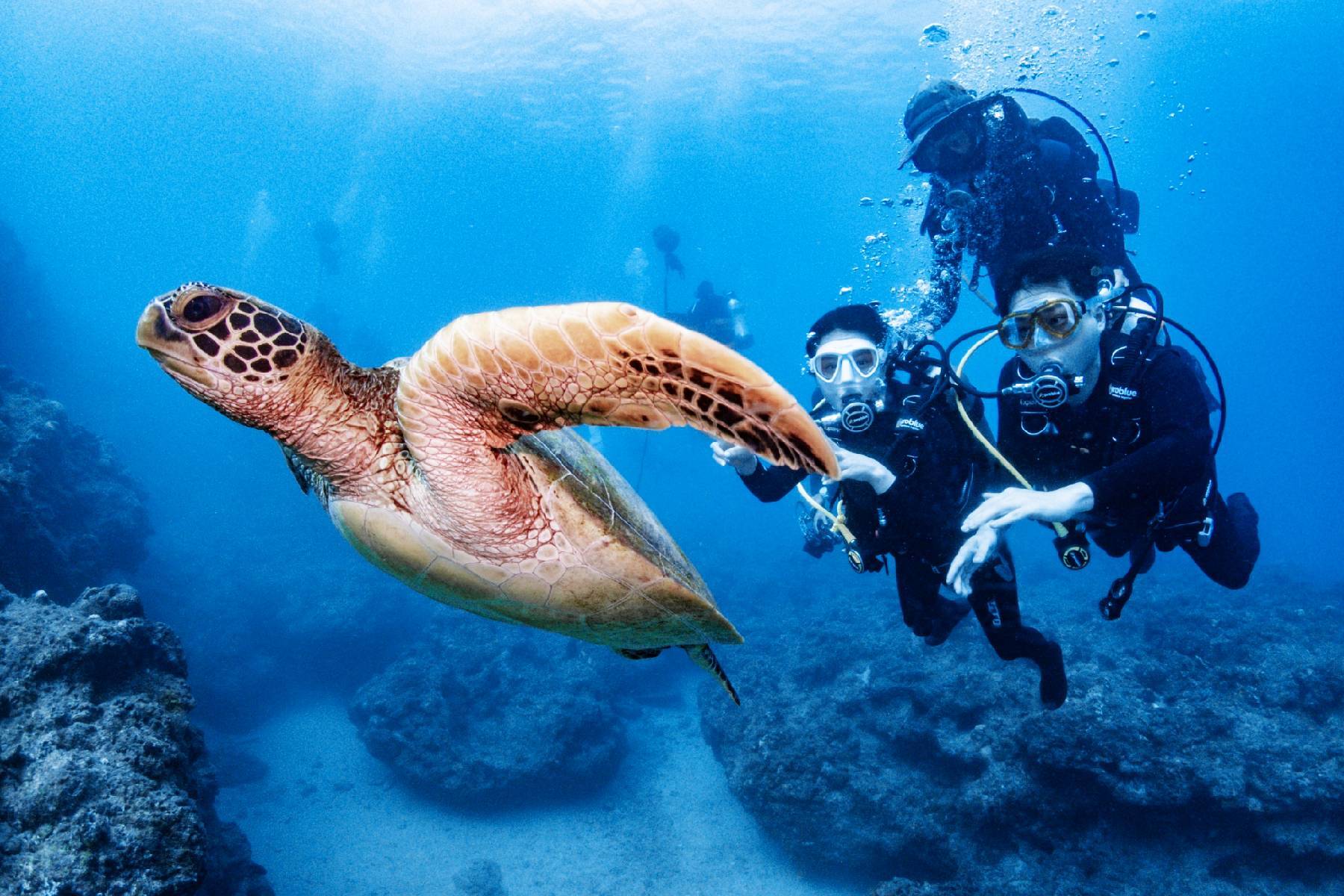 ○小琉球琉影潛水-潛水單人體驗券※贈送水底攝影7