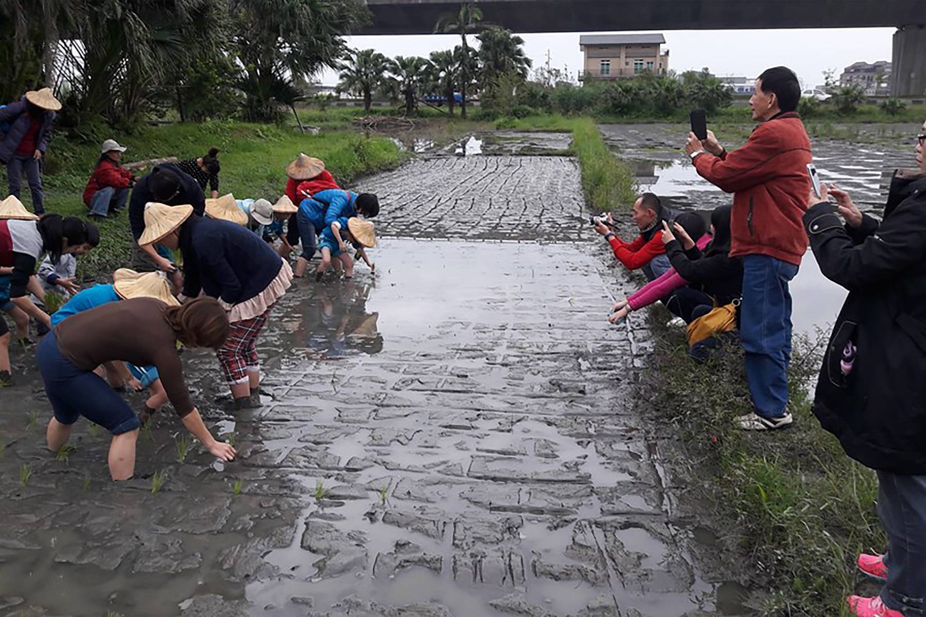 宜蘭麗野莊園休閒農場-農場(米)半日遊A券(最少4人成行)8