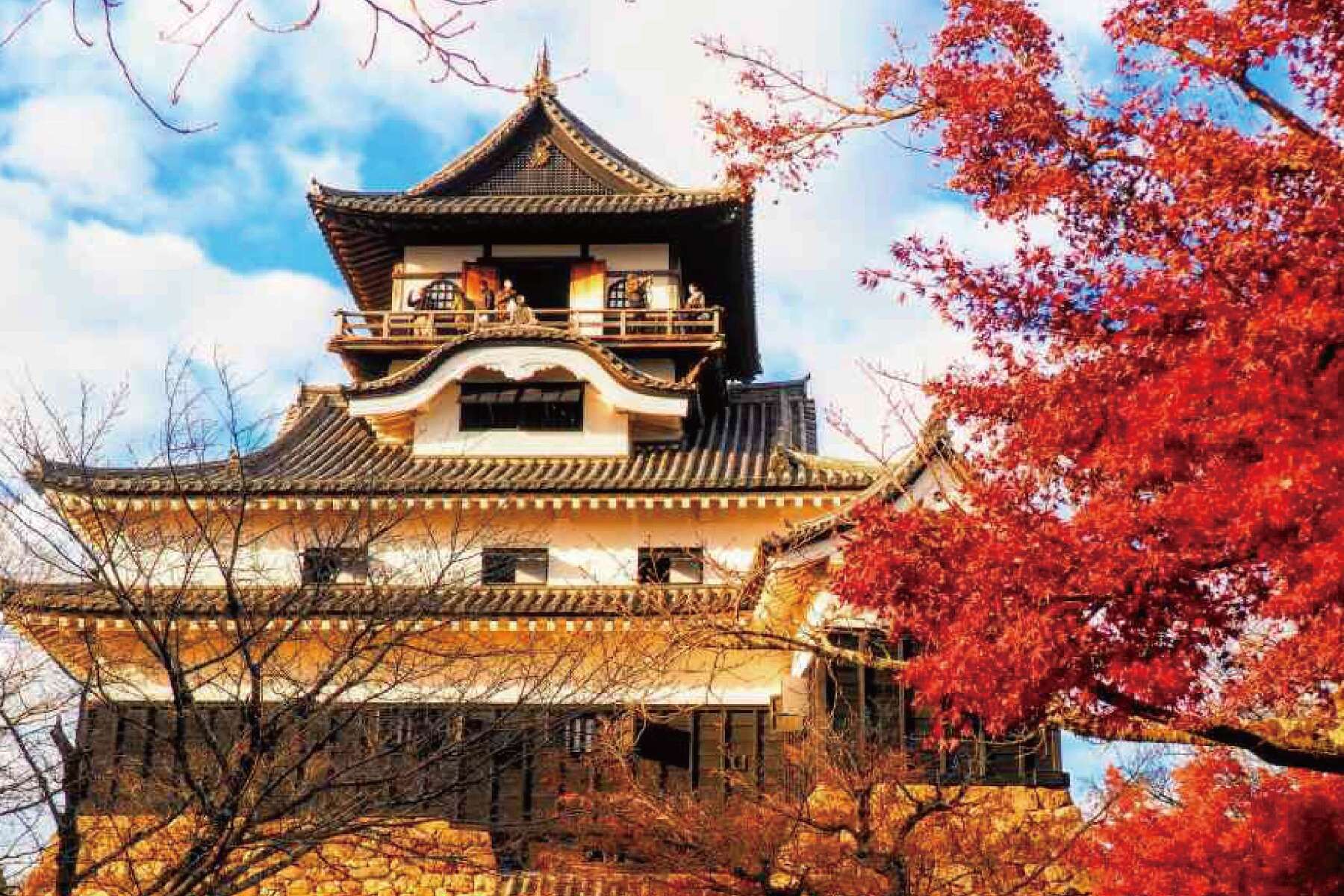 北陸旅遊|合掌村..庄川峽遊船.迷你千鳥居.採草莓.戲雪溫泉五日5