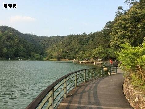 大加碼旅遊補助GO-宜蘭泡湯 台北賞菊三日7