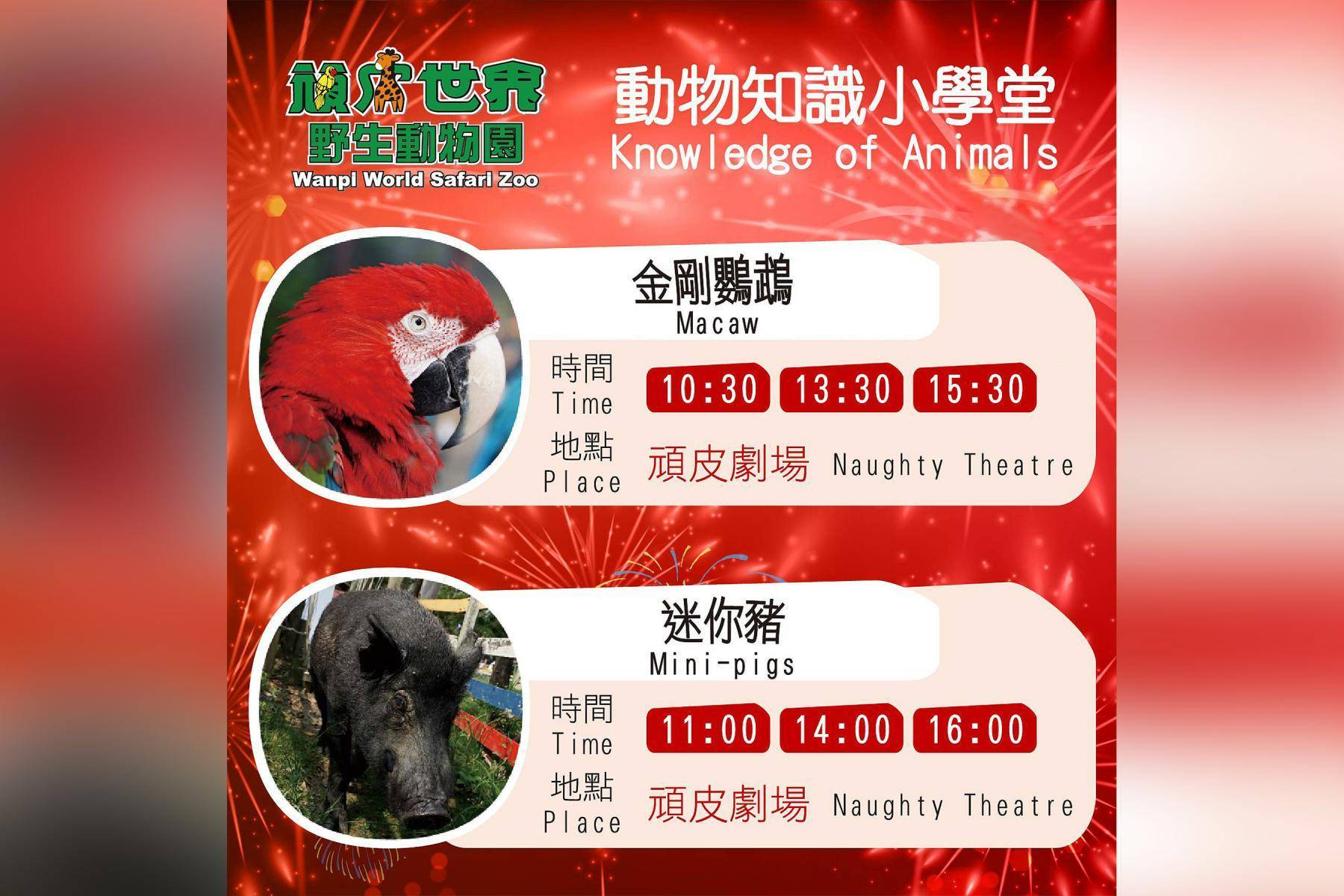 頑皮世界野生動物園13