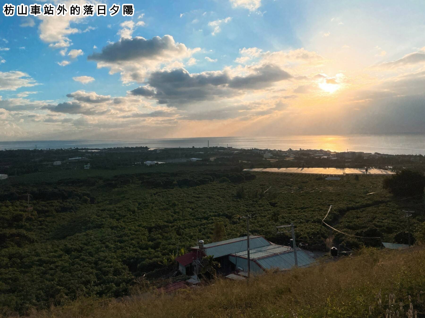 落山風藝術季 欖仁溪生態遊一日遊12