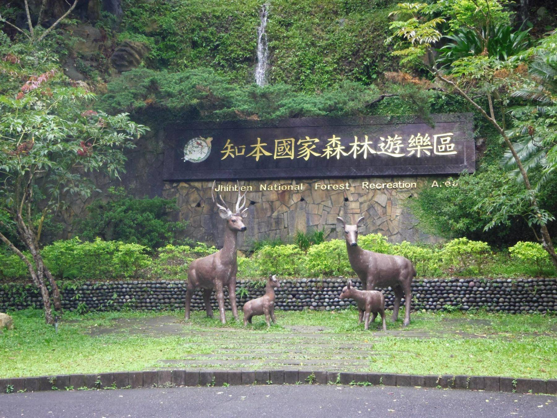 【巴士輕鬆遊】台東知本溫泉二日遊21