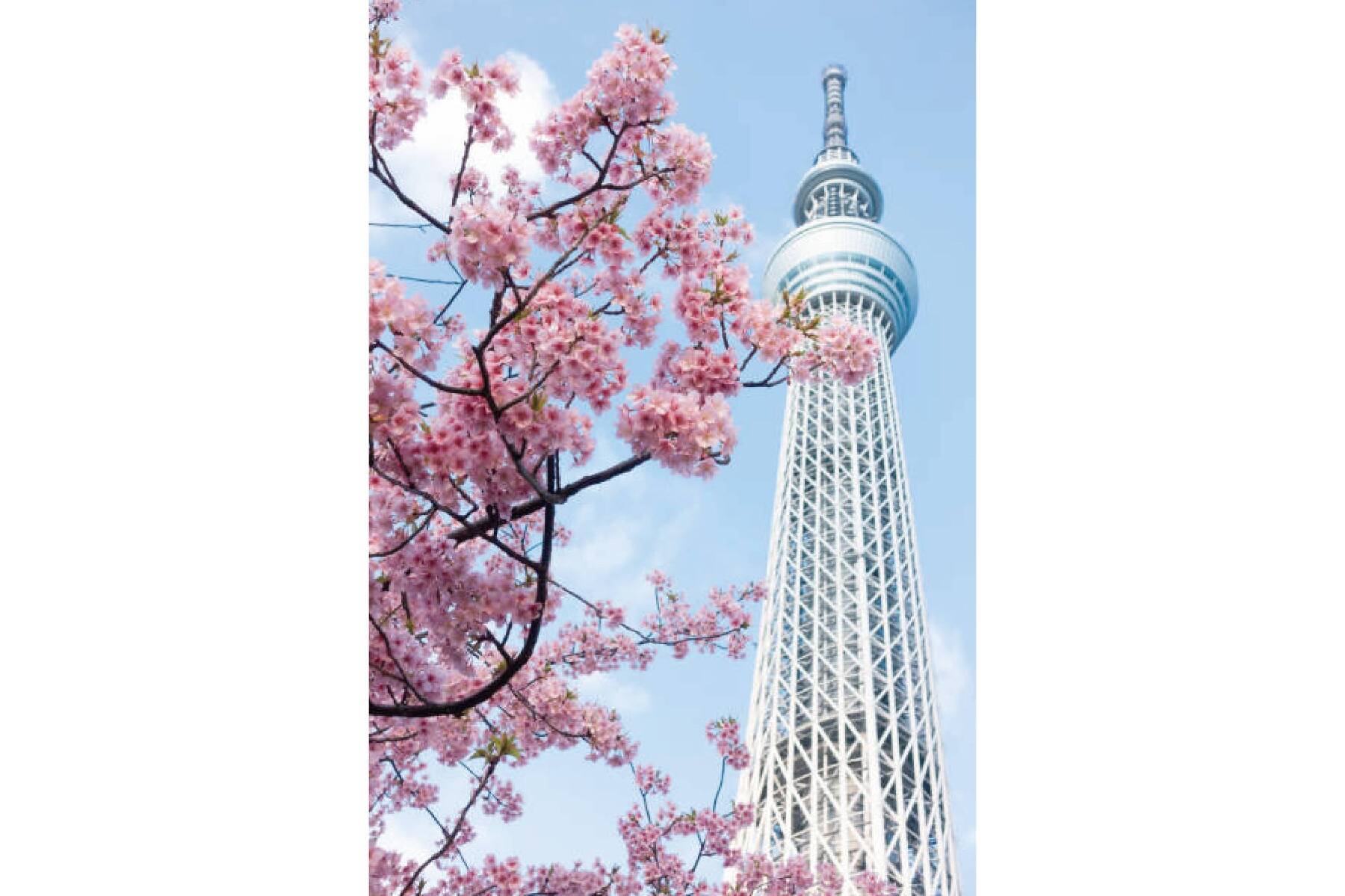 東京自由行機加酒五日(桃園出發)至2025年-03月5