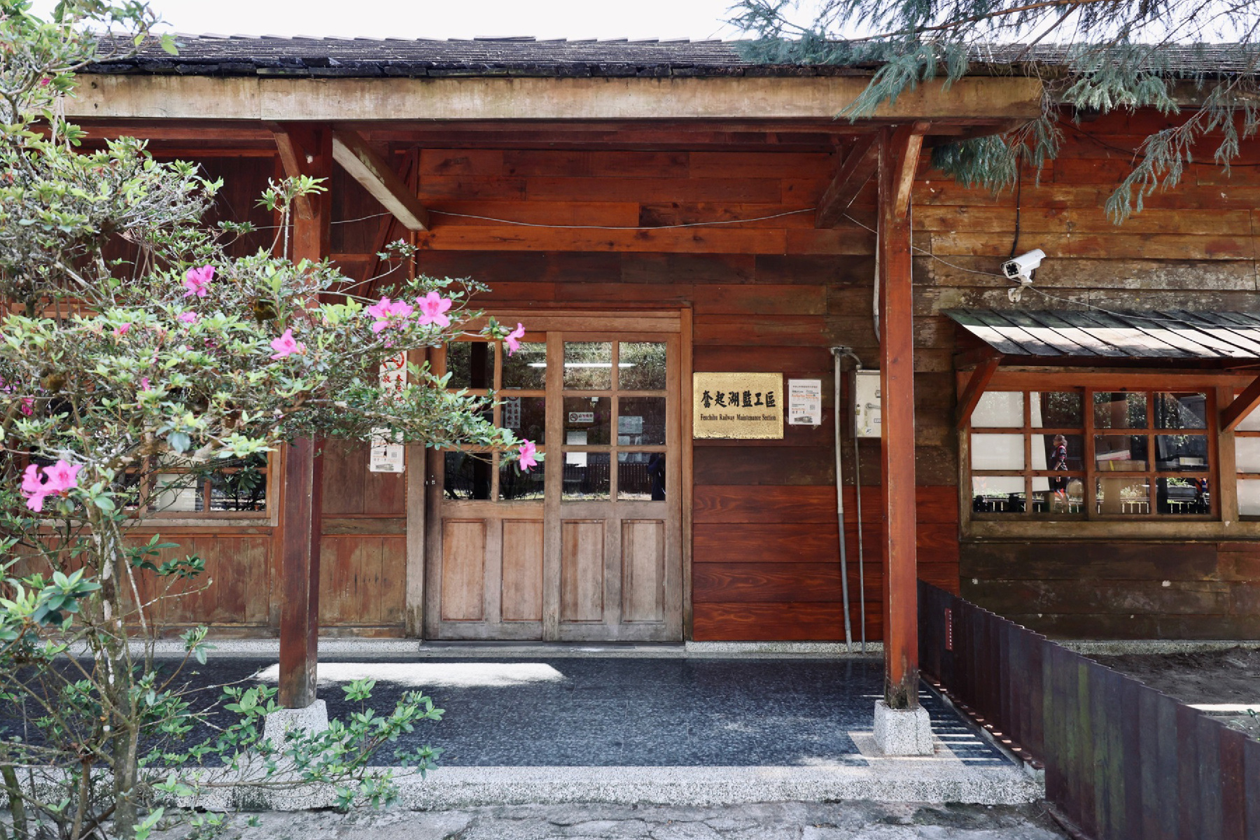 來嘉走走~阿里山迷糊步道.奮起湖一日遊11