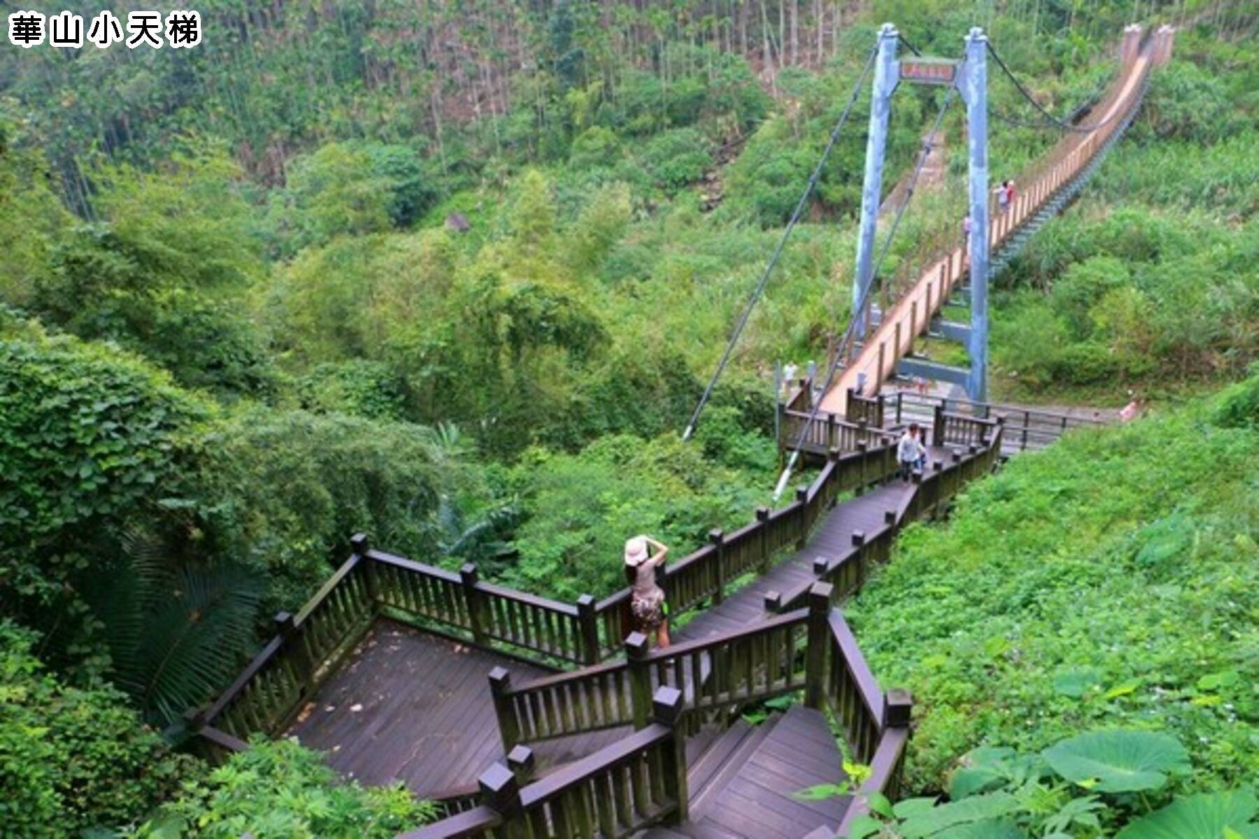 冬季旅遊補助GO-阿里山慢悠二日遊3