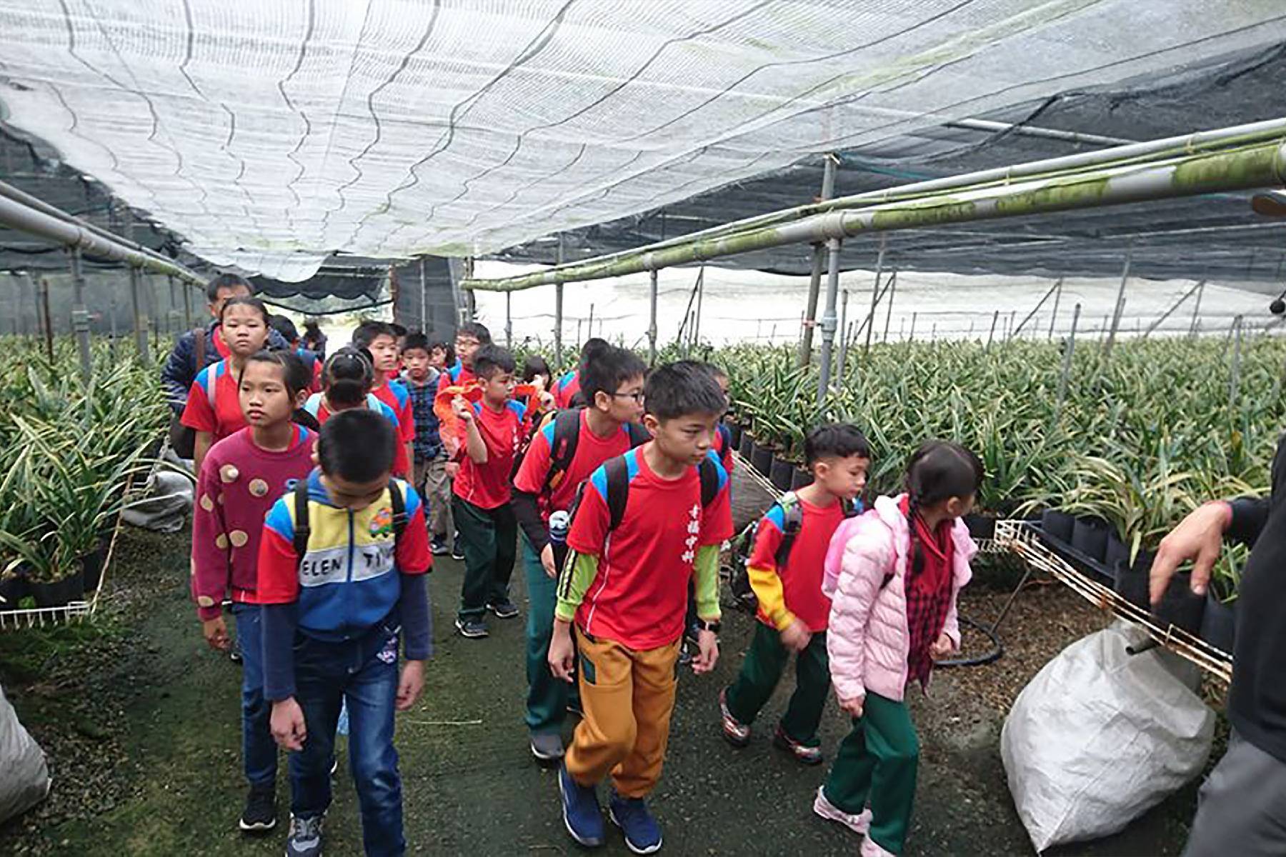 台中可苗花園休閒農場-蘭花組盆DIY體驗券(最少5人成行)2