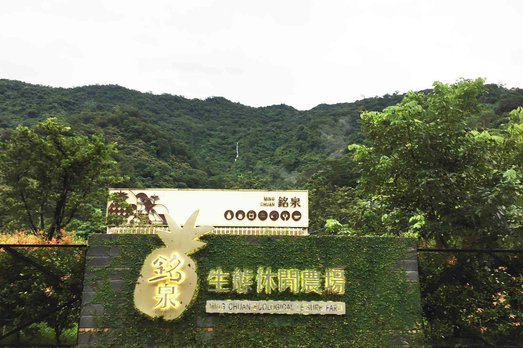 屏東銘泉生態休閒農場-採果(鳳梨)體驗券(最少2人成行)1