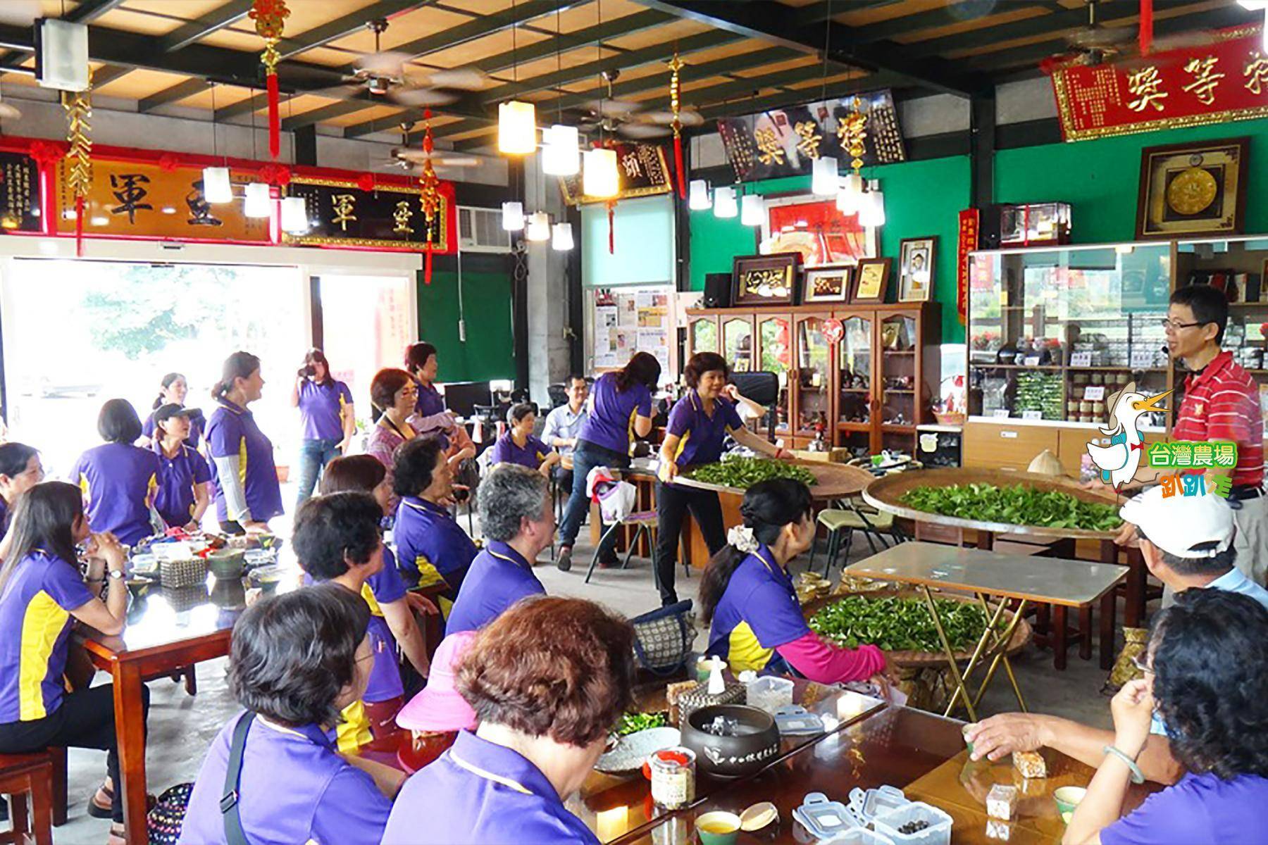 宜蘭-馨山茶園-農業體驗一日遊6