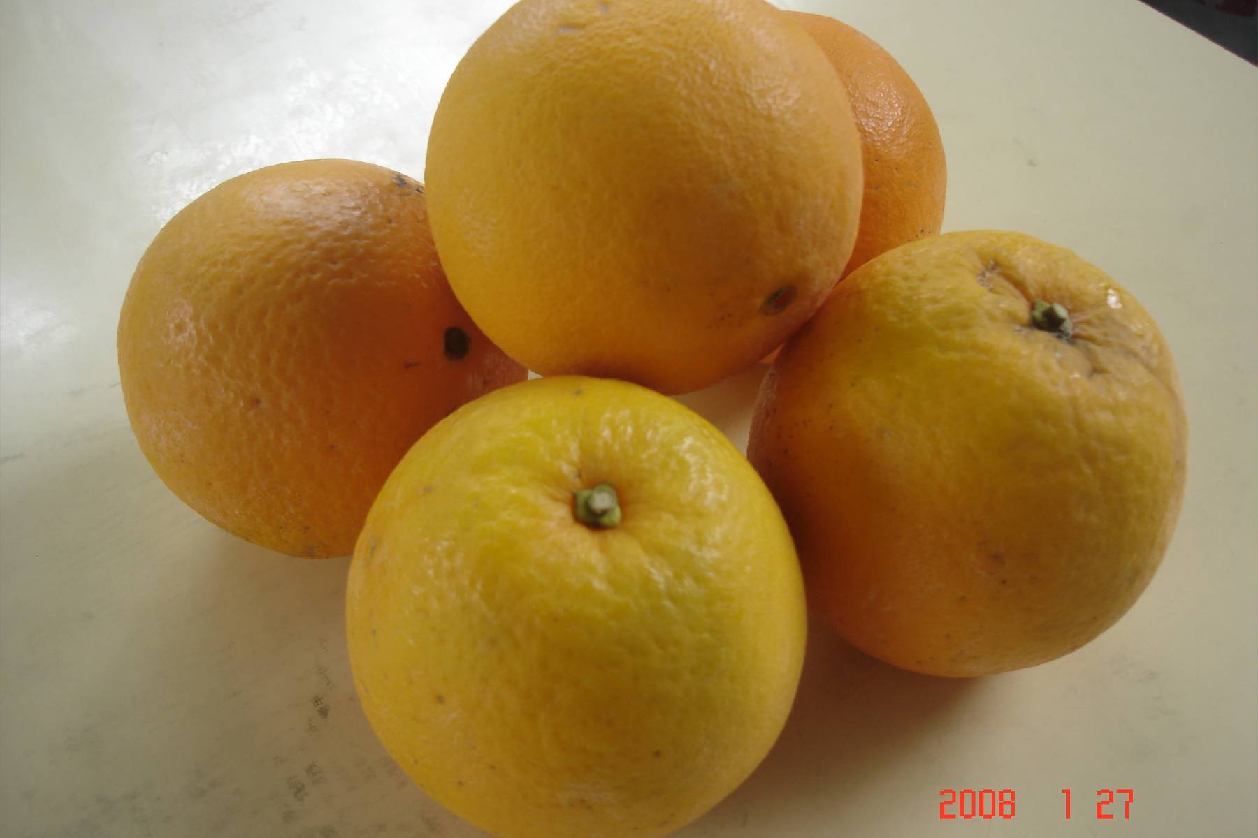 苗栗義芳農場-採果(龍眼、文旦柚、柑橘)體驗券10