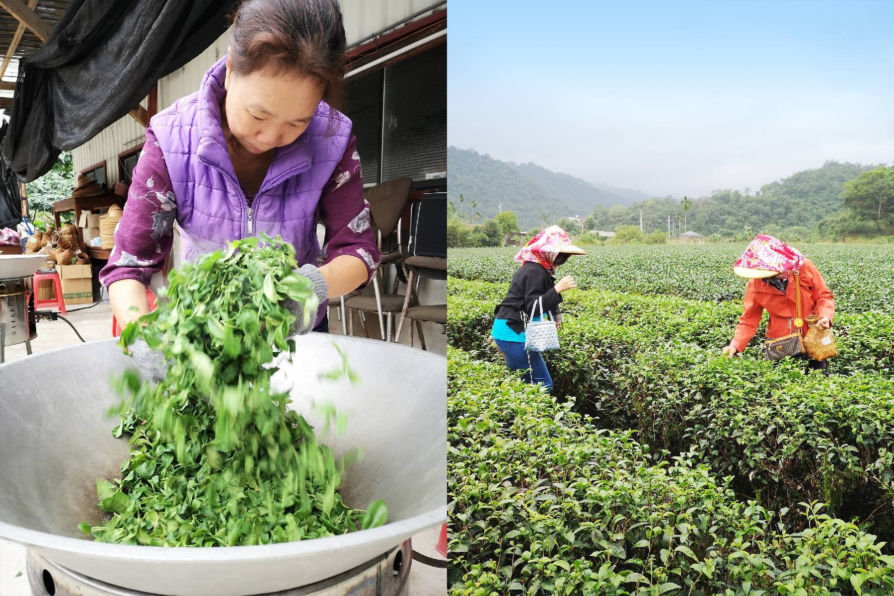 宜蘭鵝山茶園有機體驗農場-DIY體驗券3