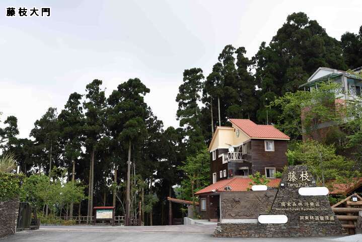 南臺灣小溪頭 藤枝森濤再現賞櫻一日遊3