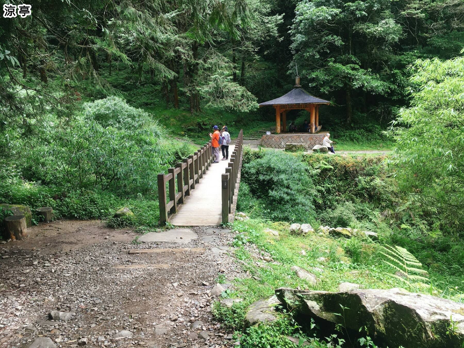 沉寂水山線 特富野古道健行一日遊12