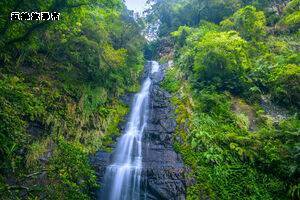 大加碼旅遊補助GO-宜蘭泡湯 台北賞菊三日11