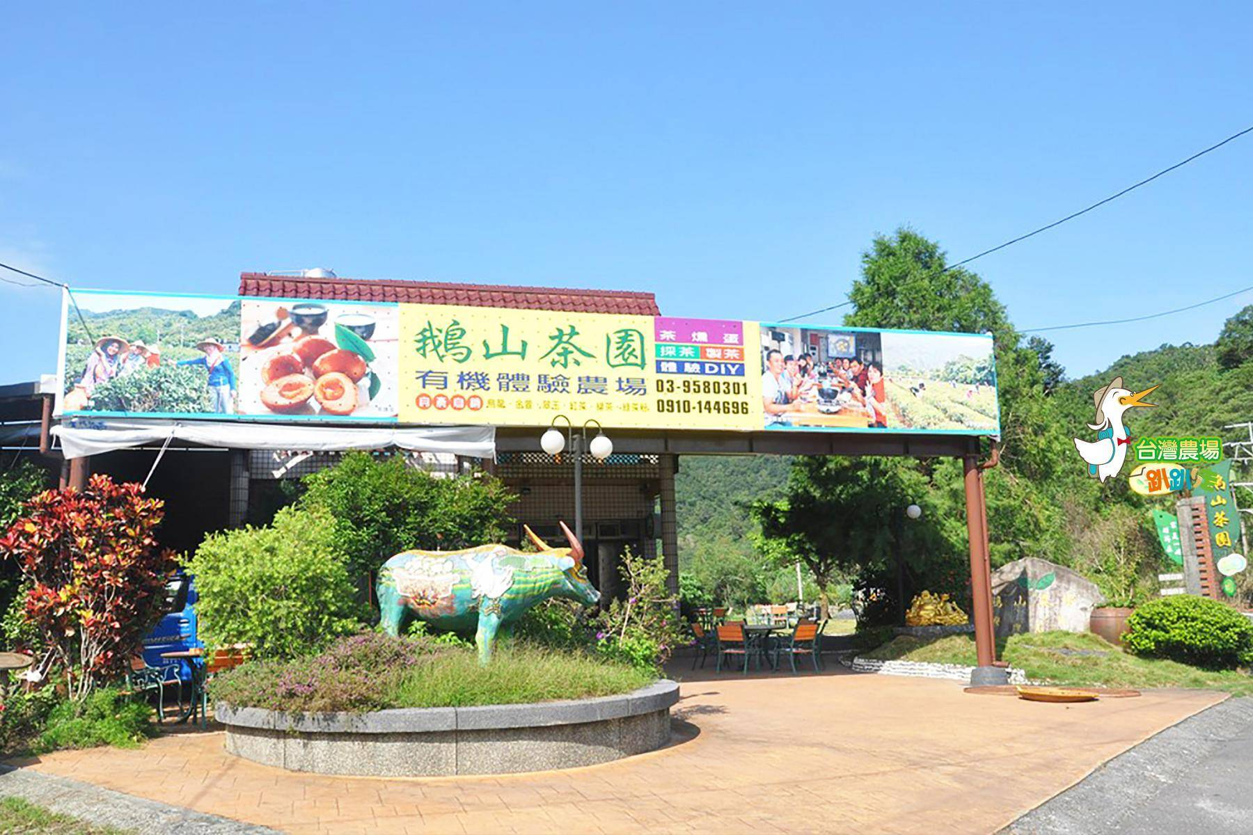 宜蘭-鵝山茶園-農業體驗一日遊1