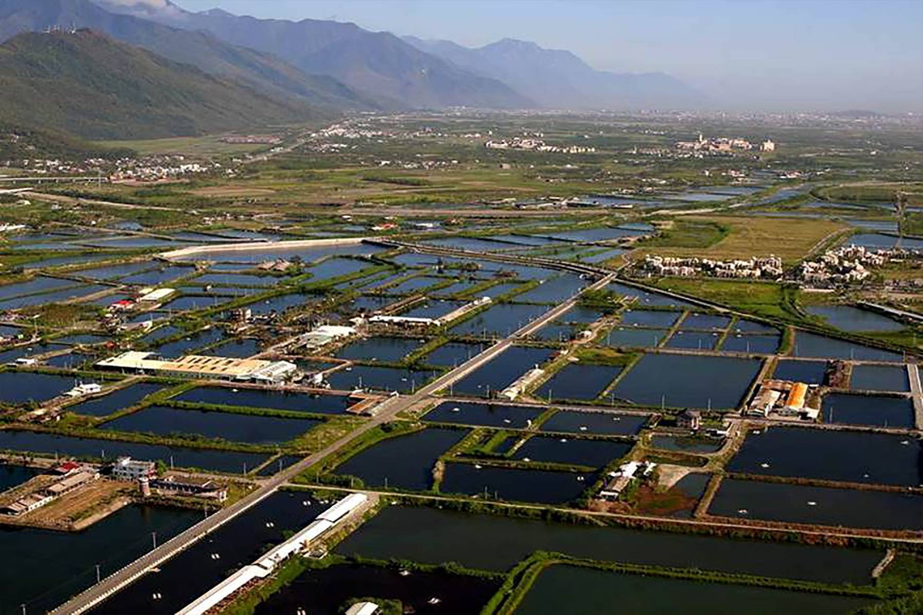 ●花蓮立川漁場-摸蜆體驗券11