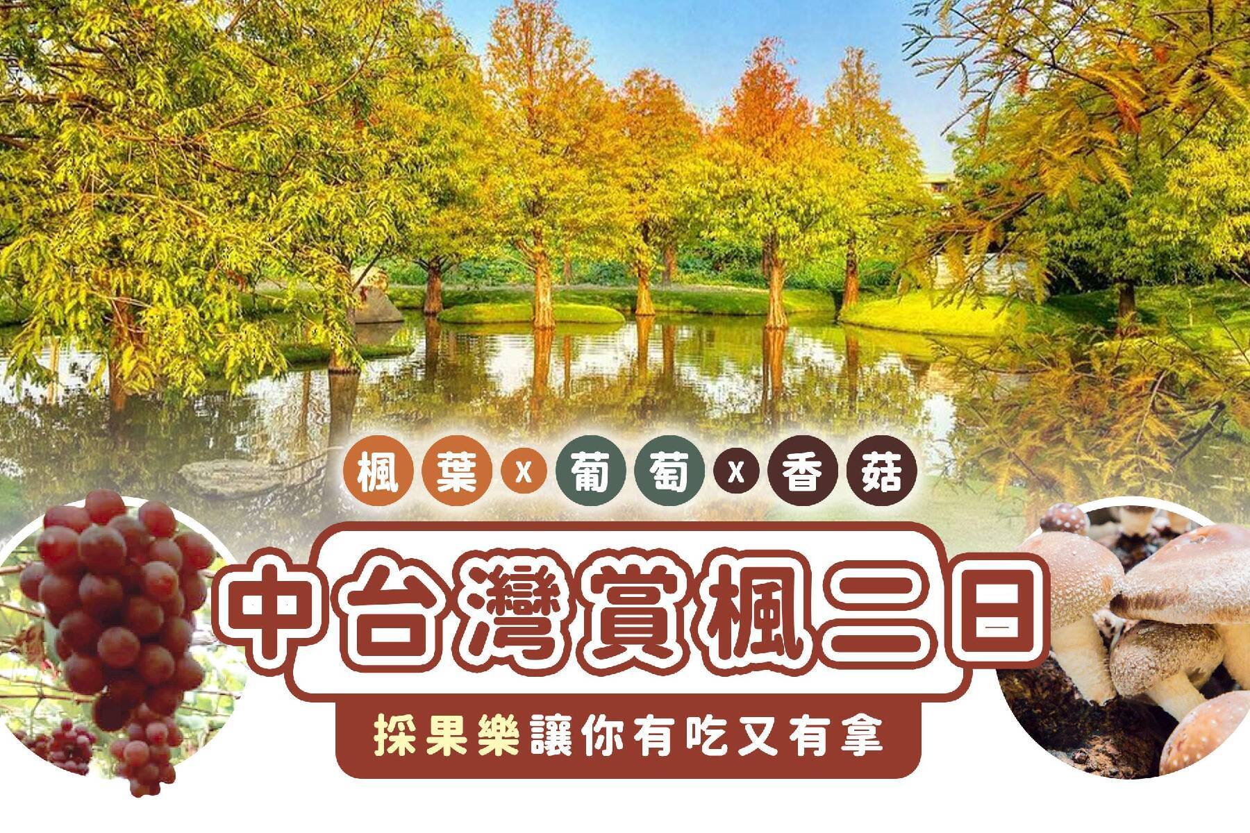 中台灣賞楓二日1