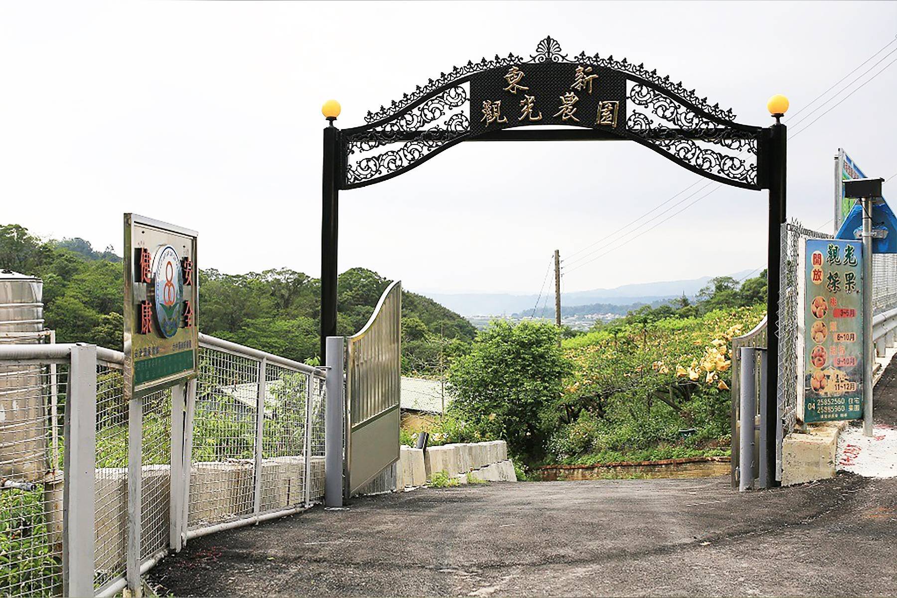 台中東新觀光果園-採果體驗券1