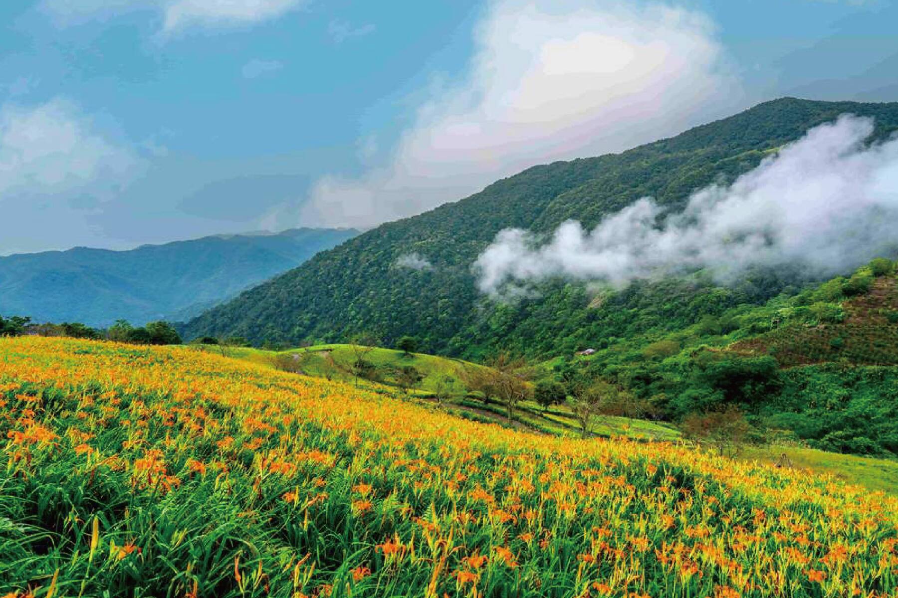 東台灣太麻里隔壁二日遊3