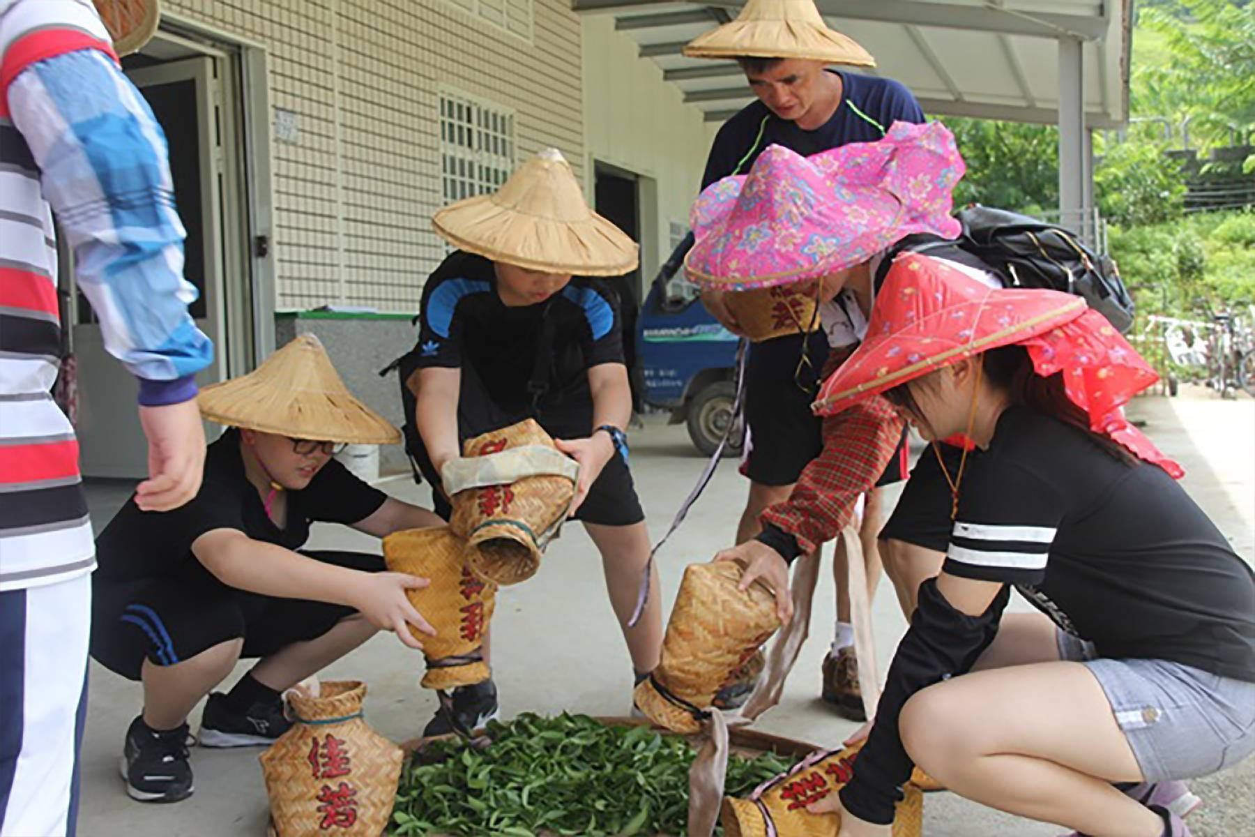 台東佳芳有機茶園-有機茶之旅體驗券(最少6人成行)6