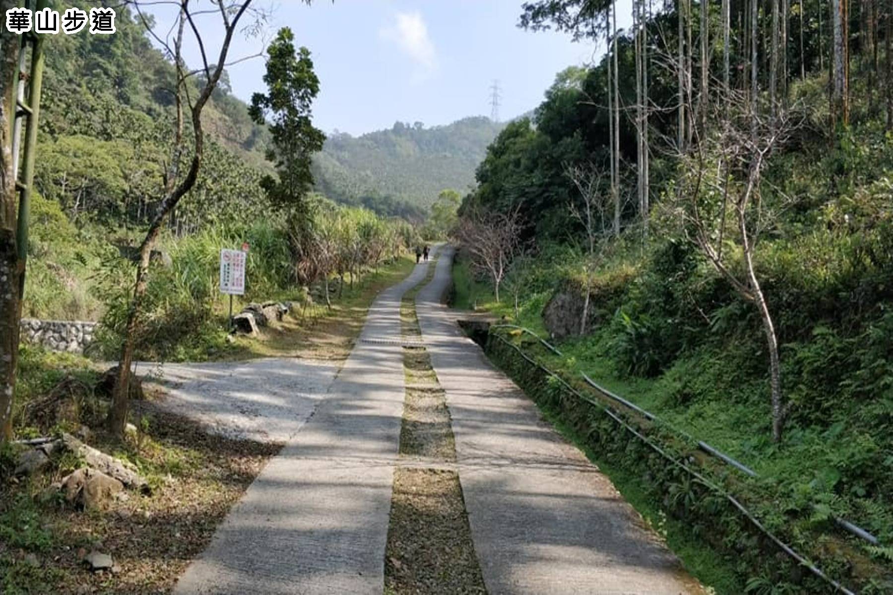 冬季旅遊補助GO-阿里山慢悠二日遊4