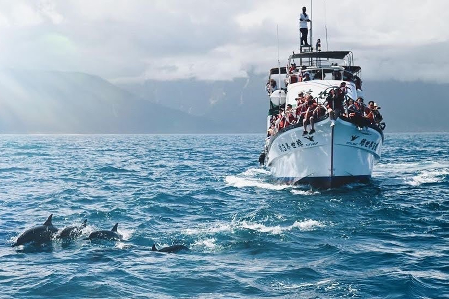 花蓮鯨世界-賞鯨生態之旅成人票5