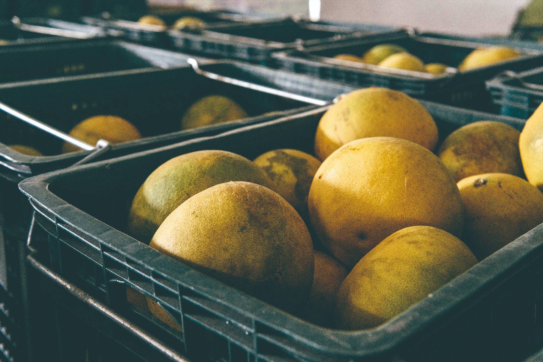 花蓮木日光文旦驛站-採果(文旦柚)體驗券7