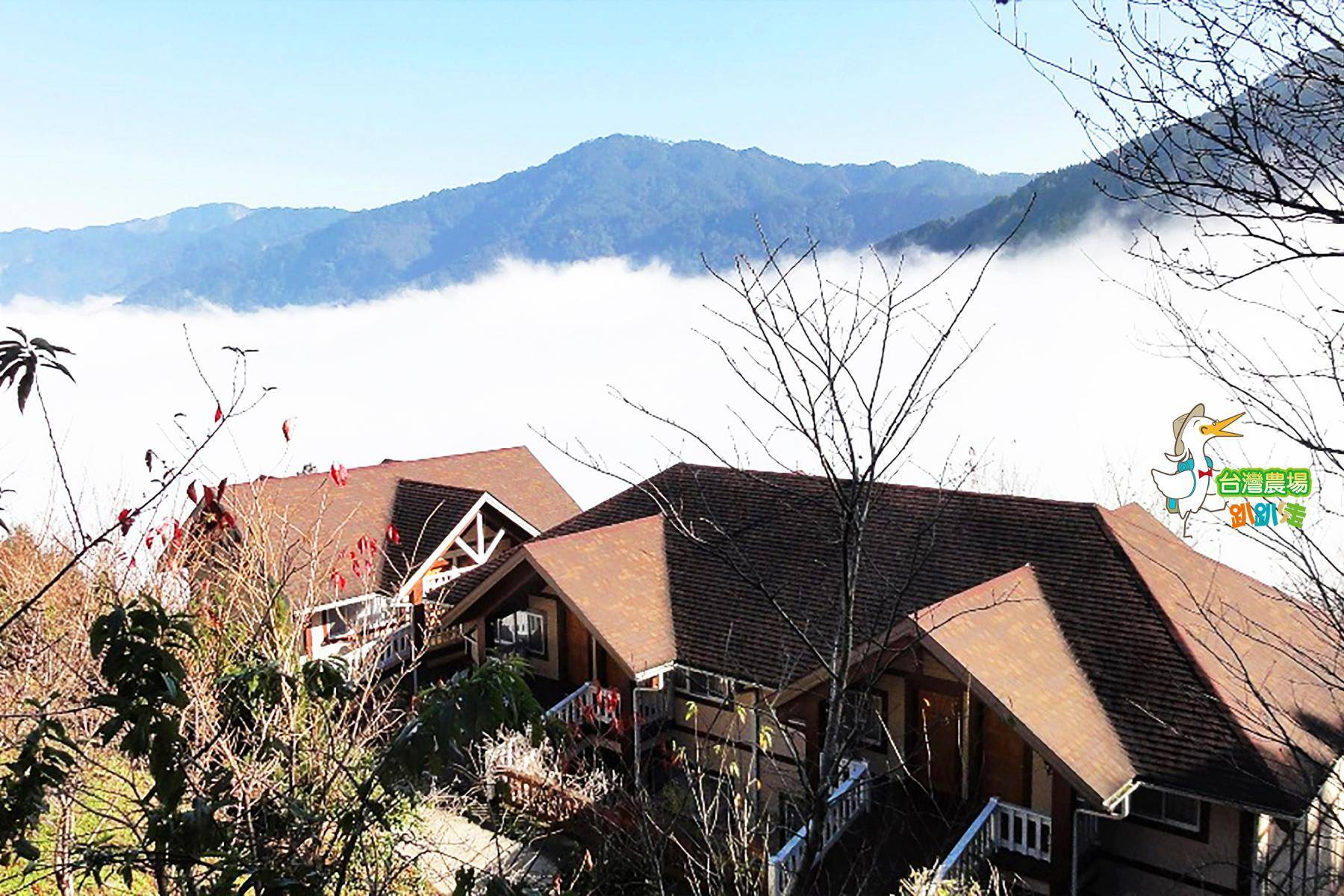 新竹-雪霸休閒農場-採果(小藍莓、奇異果)體驗券3