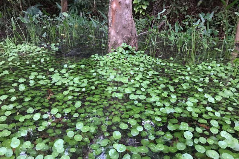 阿信巧克力農場-香草精油DIY課程單人券(含門票)9