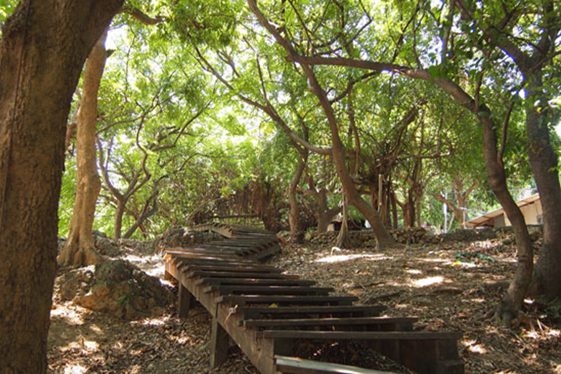 馬年車城福安宮求財一日遊6