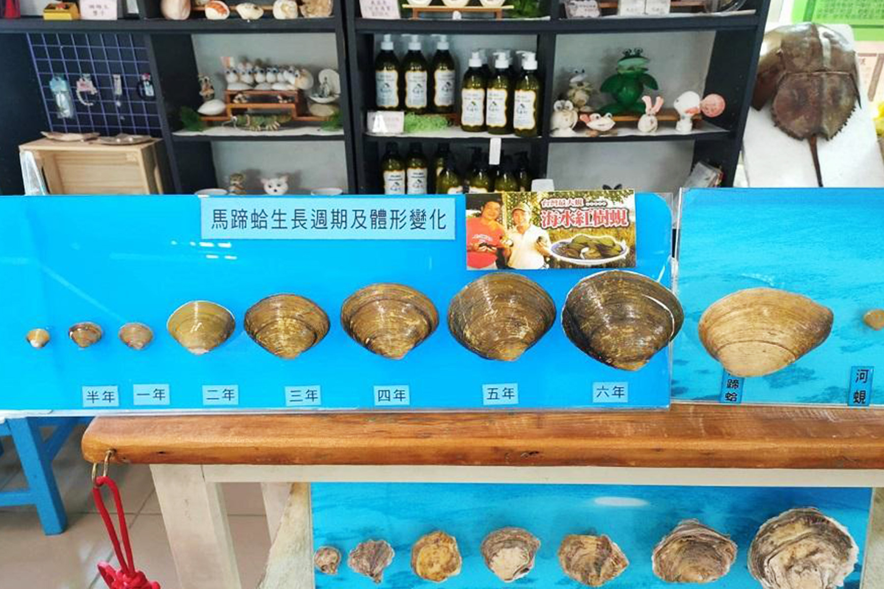 消暑親子同樂~雲林摸蜆仔兼洗褲一日遊7