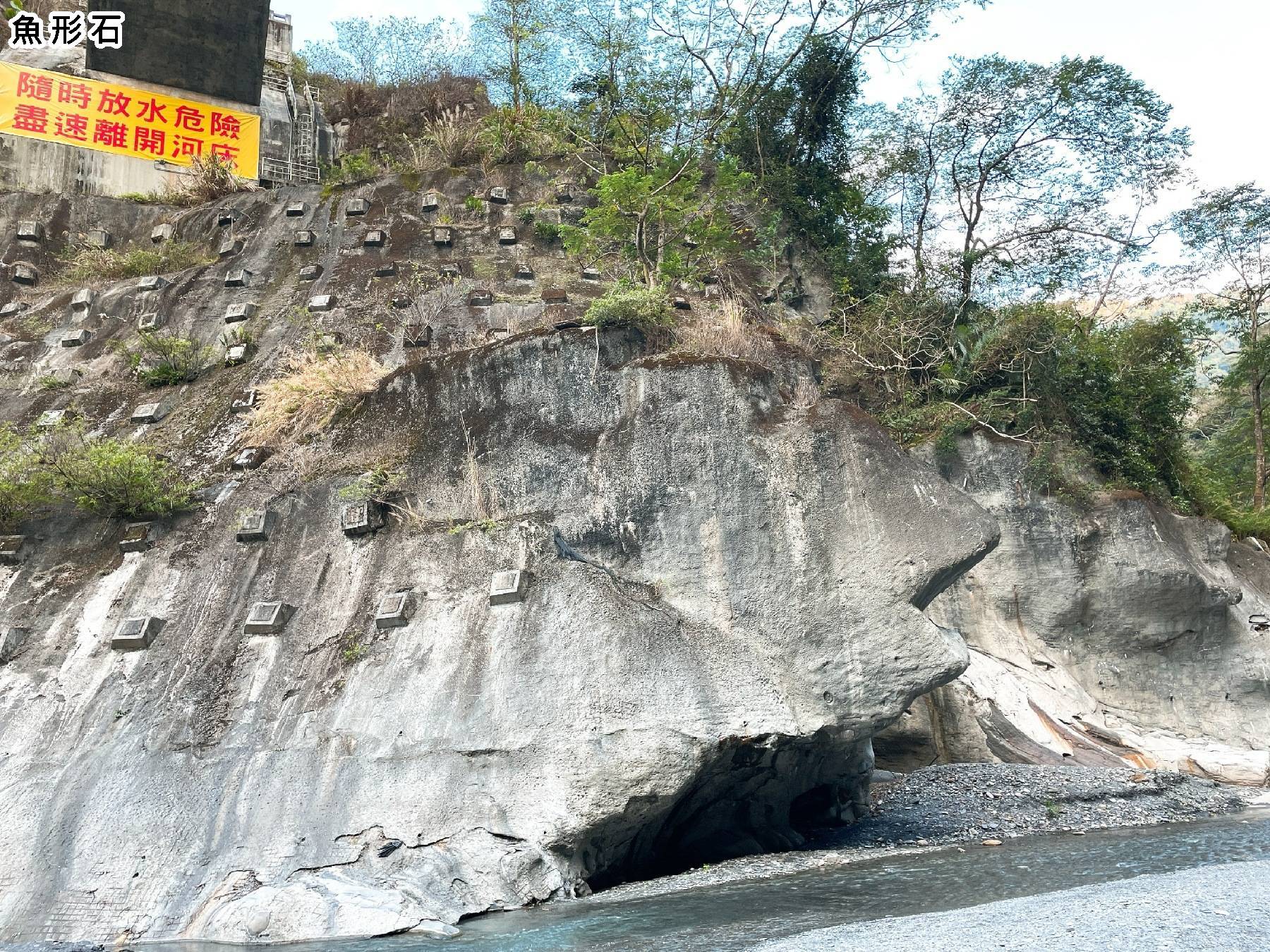 武界雲的部落 布農茶園日出2日遊11