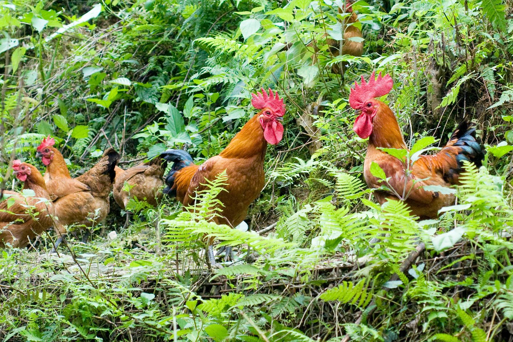 宜蘭頭城休閒農場-農夫一日遊券12