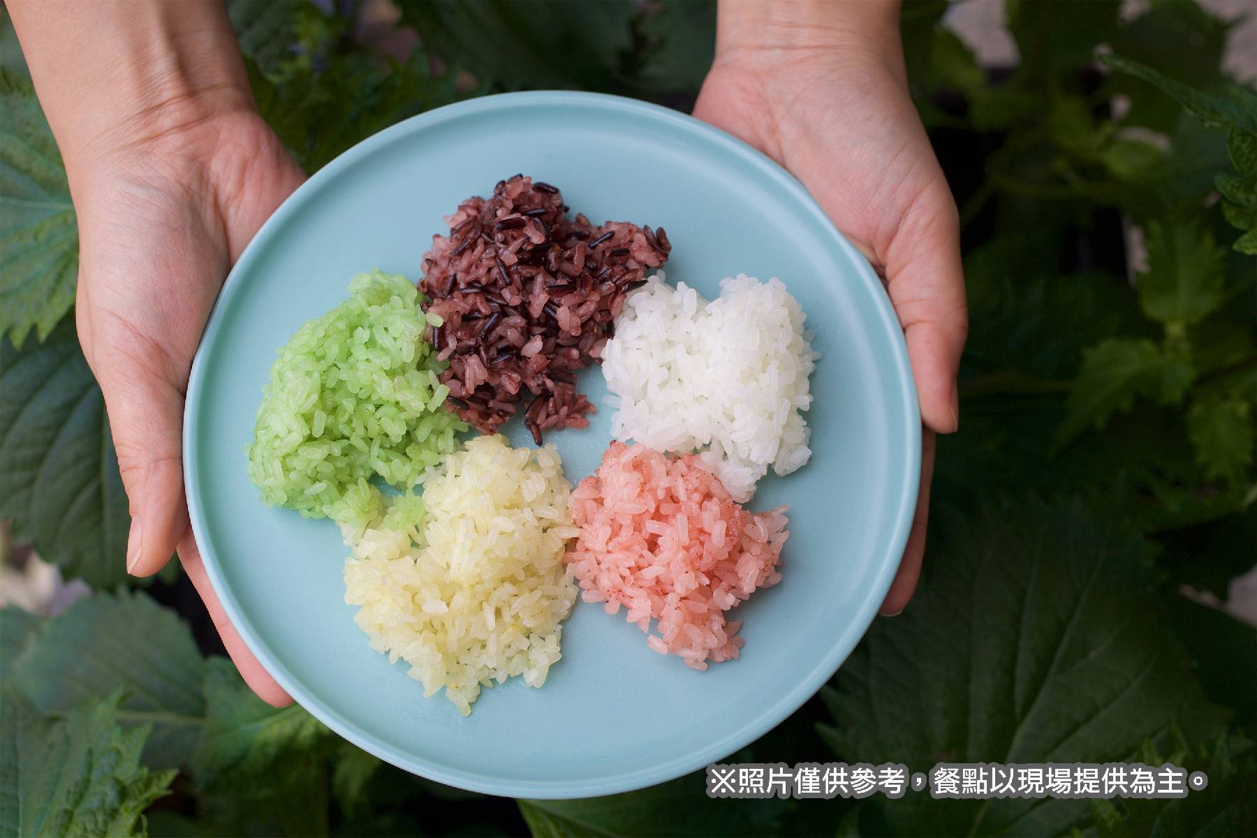 宜蘭冬山良食農創園區-彩色米飯糰DIY體驗券(最少4人成行)5