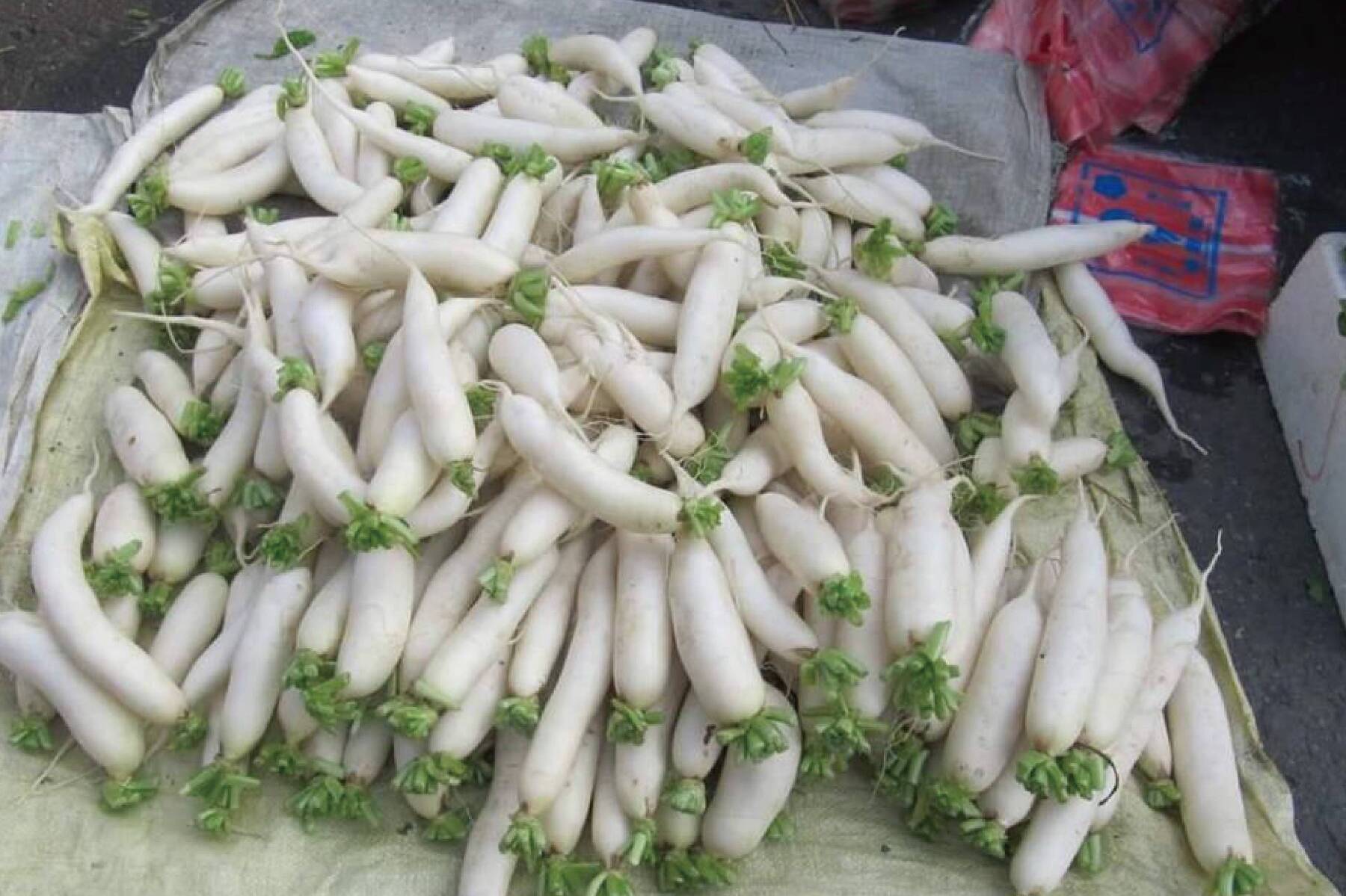季節限定~美濃白玉蘿蔔嘿呦一日遊~6