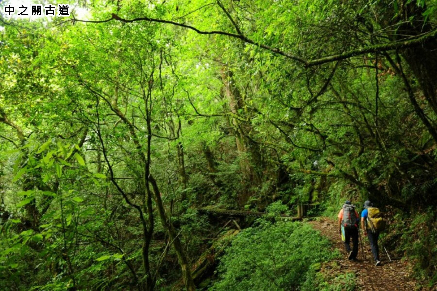 九人座輕旅行-南橫秘境．埡口中之關二日遊13